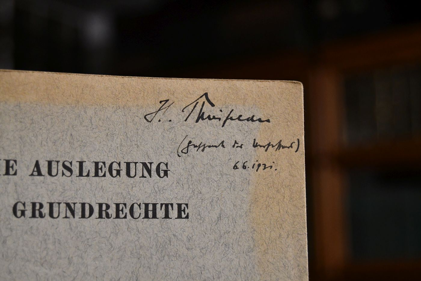 Die Auslegung der Grundrechte.