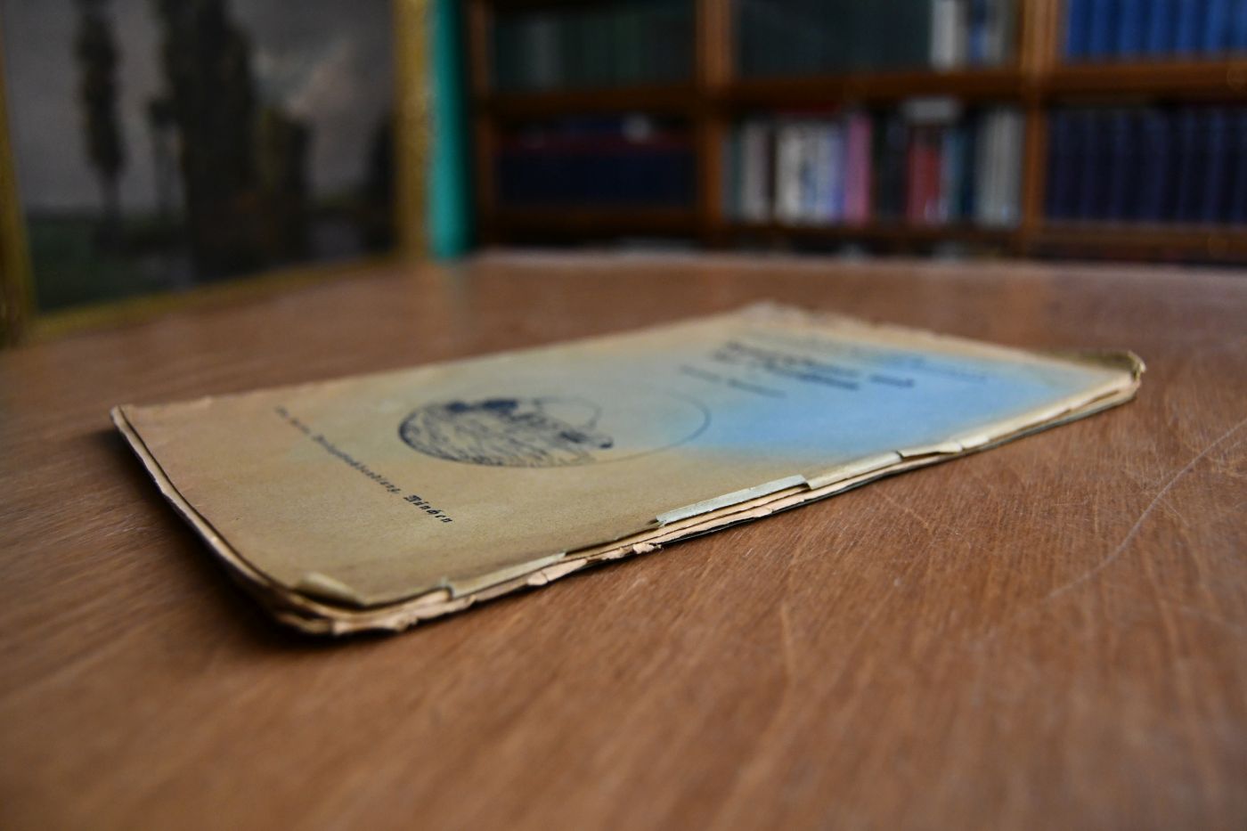 Rudolf Steiner und das Deutschtum.