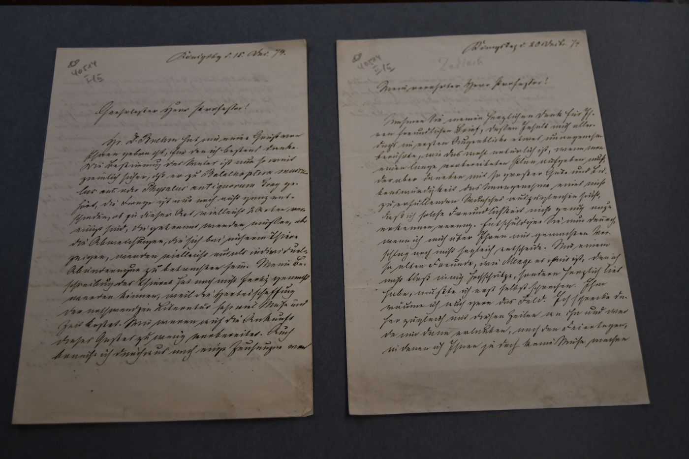 2 handschriftliche Briefe von dem Geologen und Zoologen Ernst Gustav Zaddach (1817-1881) an den an den Danziger Lehrer und Botaniker Konrad Lakowitz(1859-1945) vom 15. und 20. Dezember 1874.