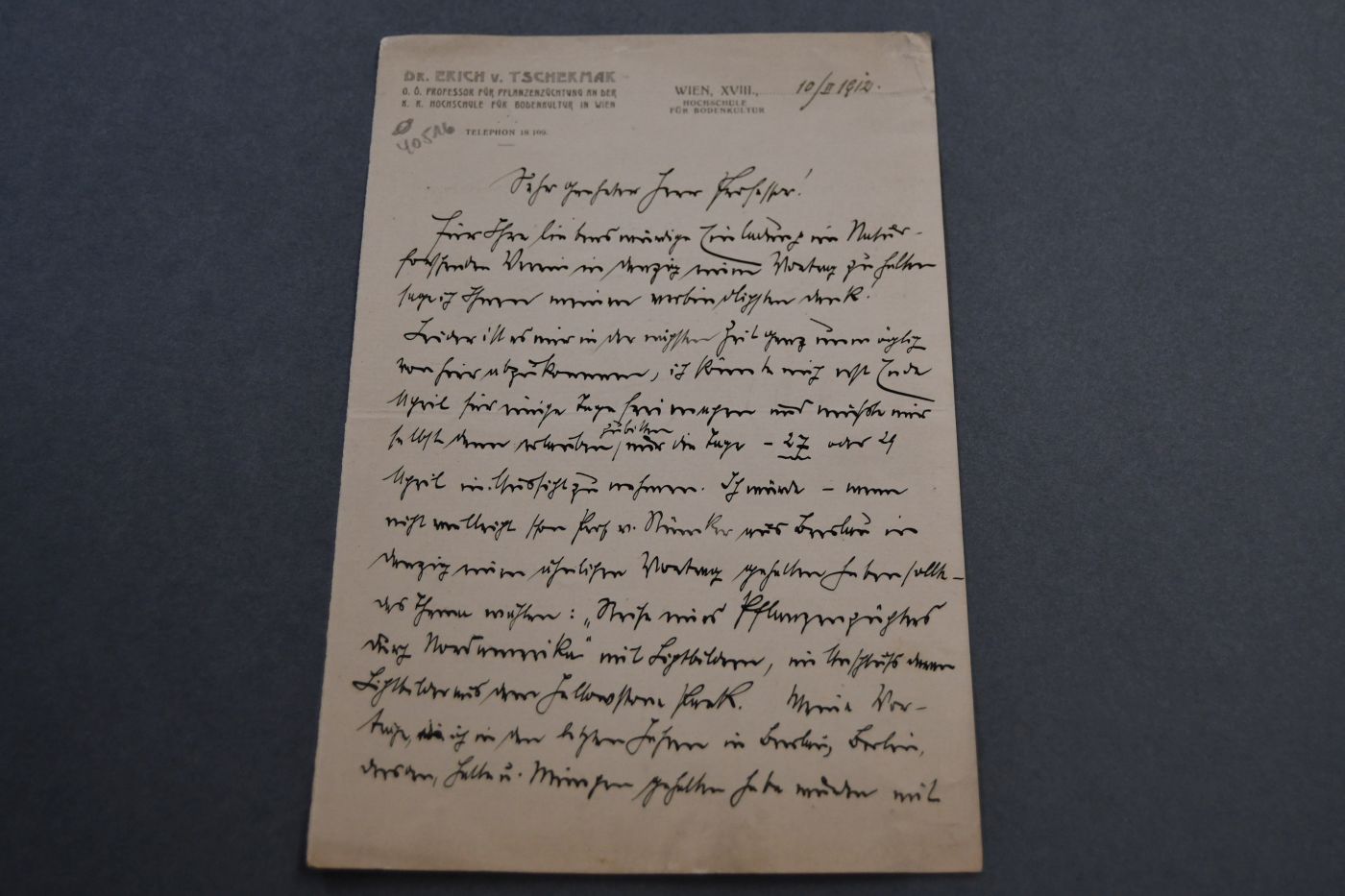 Brief des Wiener Botanikers und Pflanzenzüchters Erich Tschermak Edler von Seysenegg (1871-1962) an den Danziger Lehrer und Botaniker Konrad Lakowitz(1859-1945) vom 19. Februar 1912.