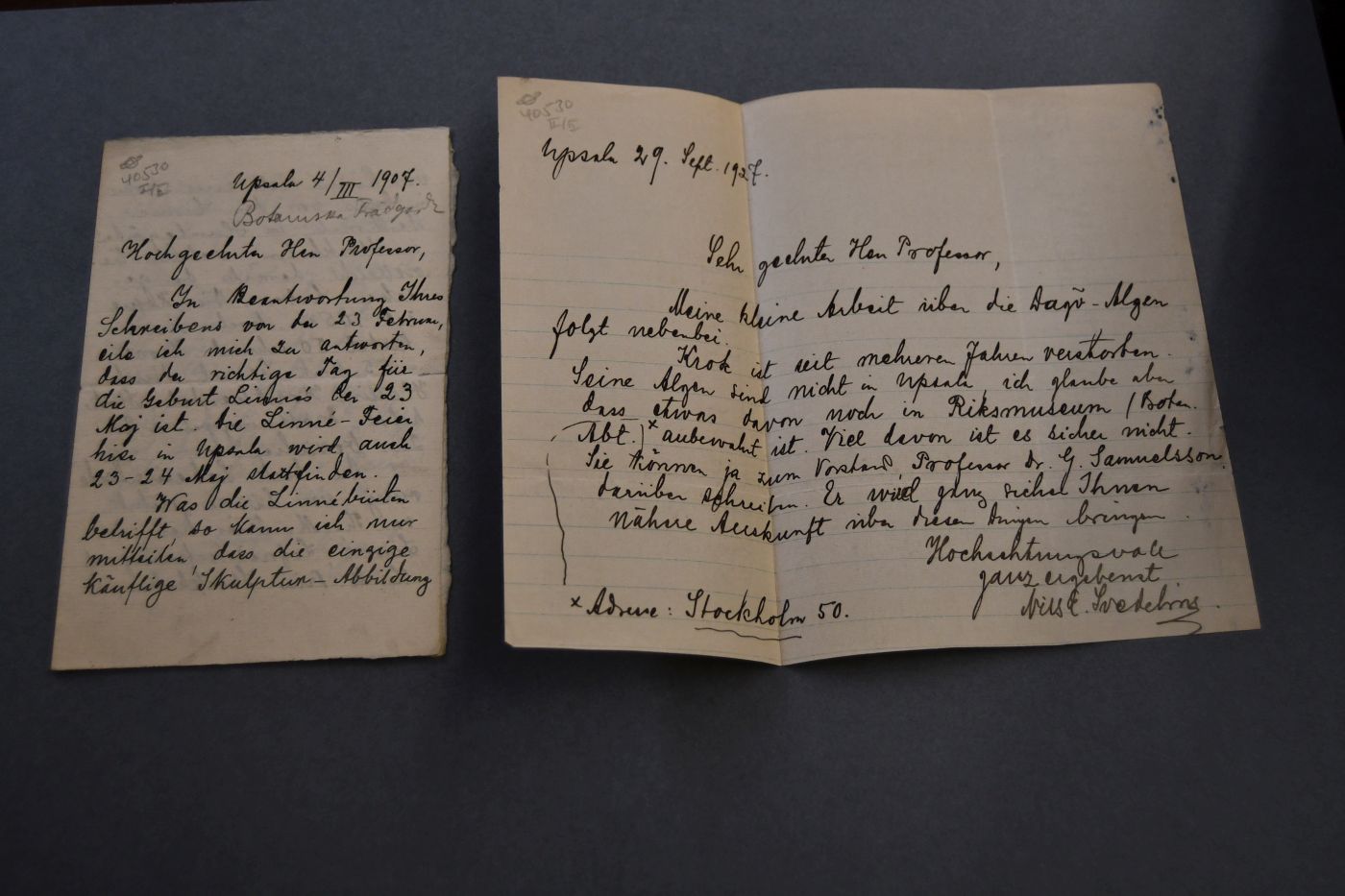 2 Handschriftlichee Briefe des schwedischen Botanikers und Algenexperten Nils E. Svedelius (1873-1960) an den Danziger Lehrer und Botaniker Konrad Lakowitz (1859-1945) vom 4. März 1907 und vom 29. September 1927.