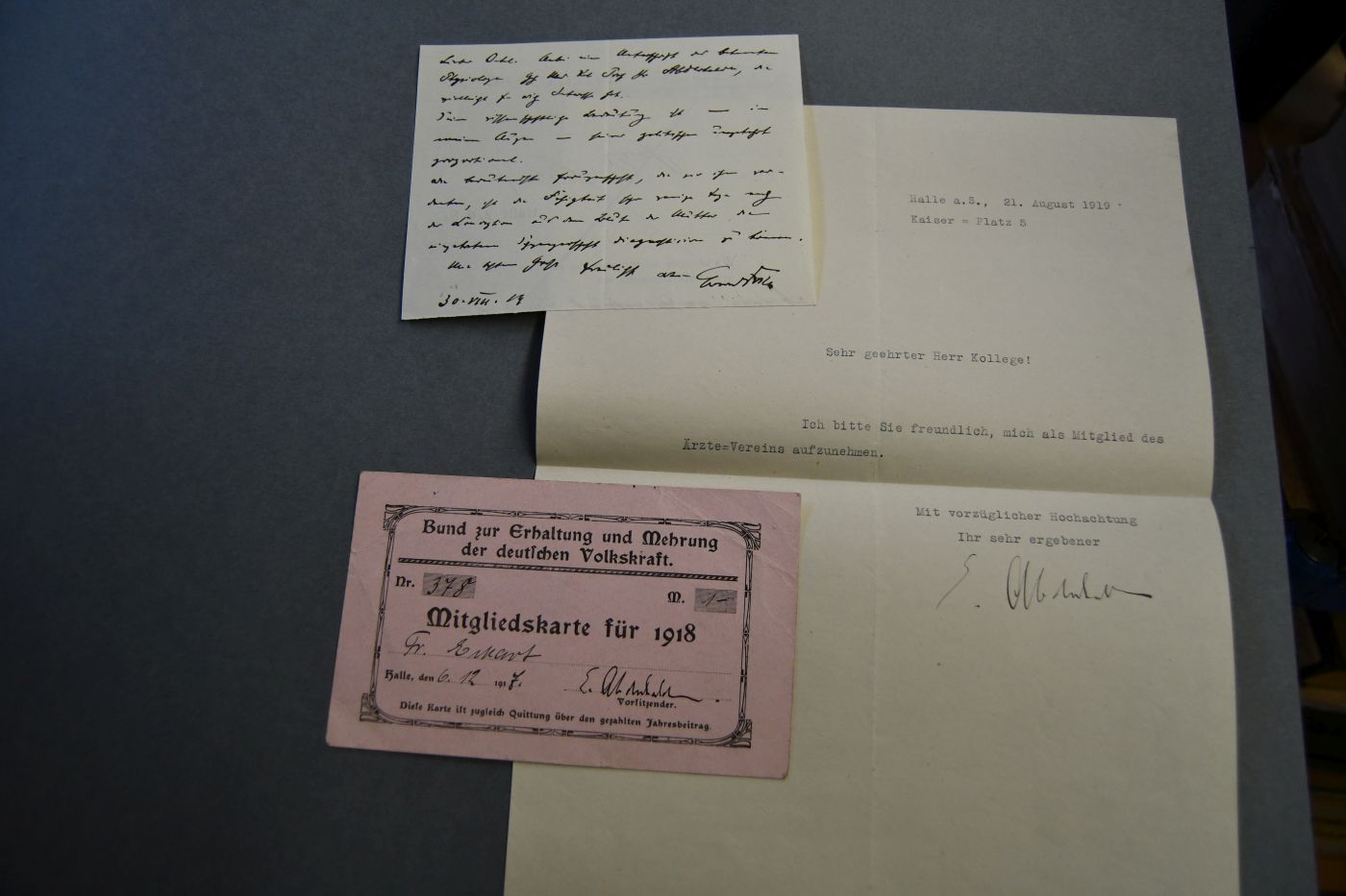 Maschinenschriftlicher, unterschriebener Brief des Schweizer Physiologen, Mitbegründers der Proteinbiochemie, Präsidenten der Leopoldina, Professor in Halle und Zürich Emil Abderhalden (1877-1950) vom 21. August 1919.