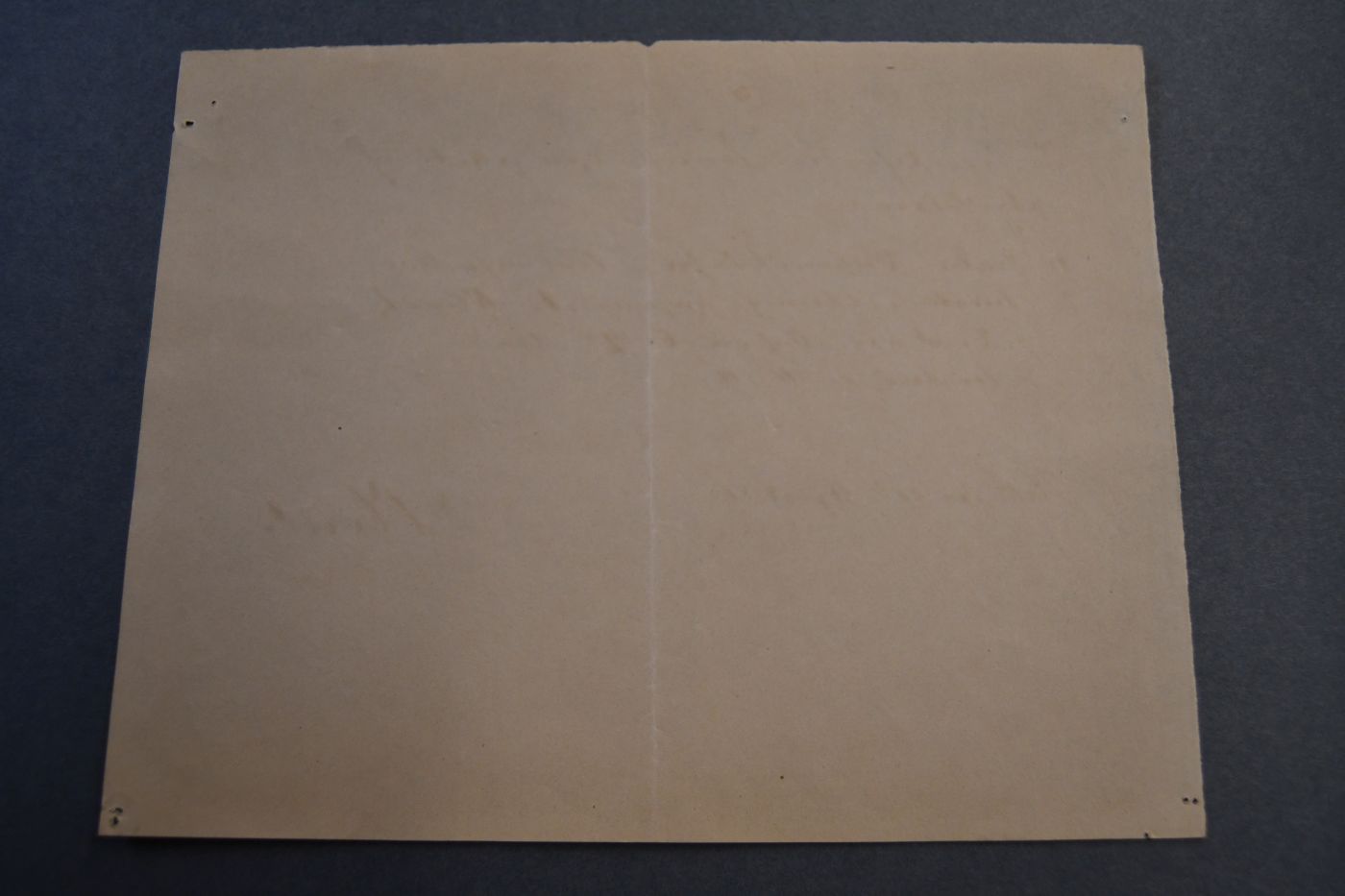 Handschriftlicher Vorlesungsaushang des deutschen Chirurgen und Hochschullehrers in Halle Maximilian Oberst für das Sommersemester 1886.