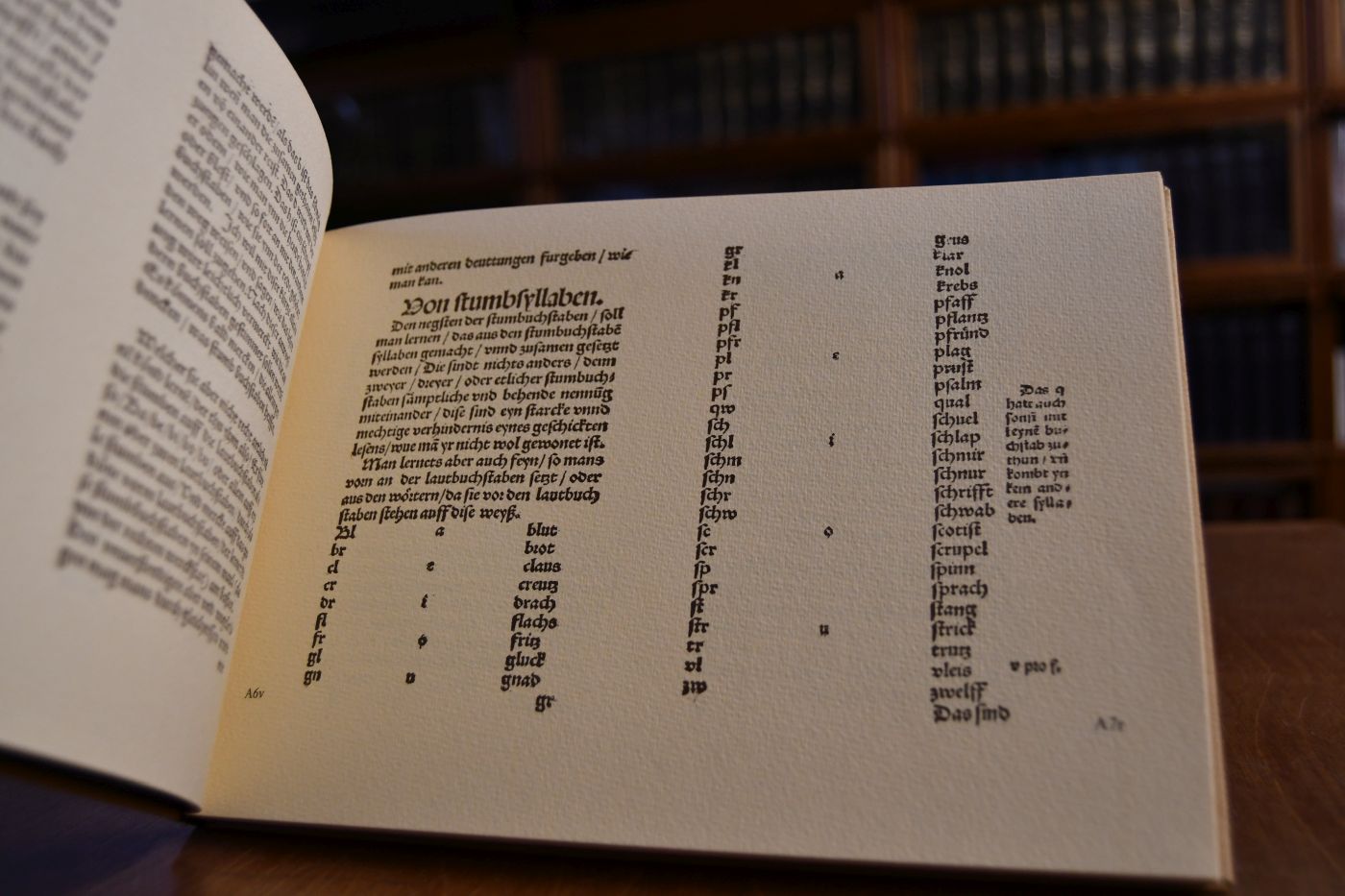 Die rechte weis aufs kürtzist lesen zu lernen. Ain Teütsche Grammatica.