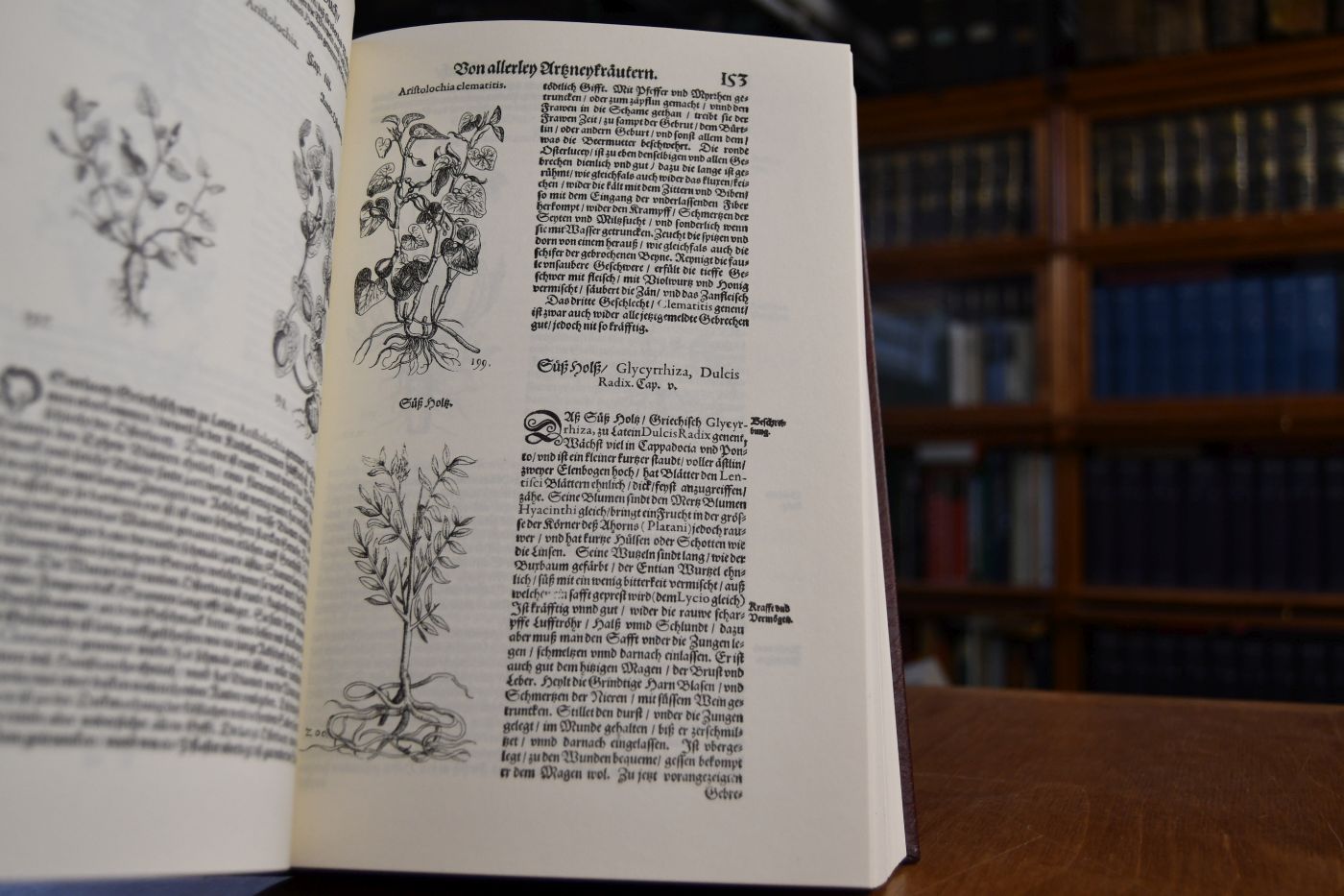 Kräuterbuch des uralten und in aller Welt berühmtesten griechischen Scribenten Pedacii Dioscoridis Anazarbaei, von allerley wolriechenden Kräutern, Gewürtzen, köstlichen Oelen und Salben, Bäumen, Hartzen, Gummi, Geträyt, Kochkräutern, scharffschmäckenden Kräutern und andern so allein zur Arzney gehörig Kräuterwein, Metalln, Steinen allerley Erden, allem und jedem Gifft, viel und mancherley Thieren und derselbigen heylsamen und nuzbaren Stück.