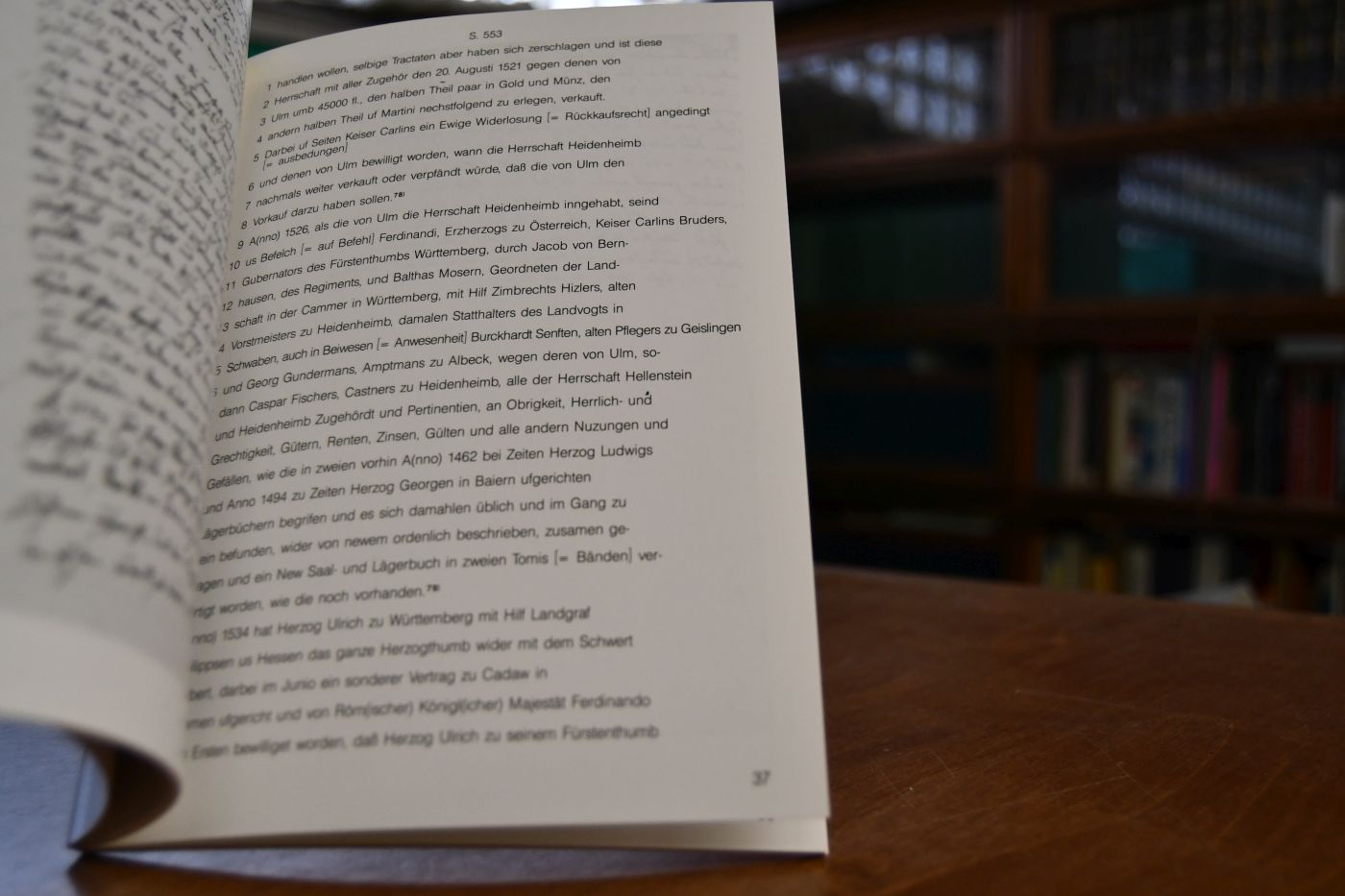 Die Lindenmaiersche Chronik. Kommentierte Ausgabe.