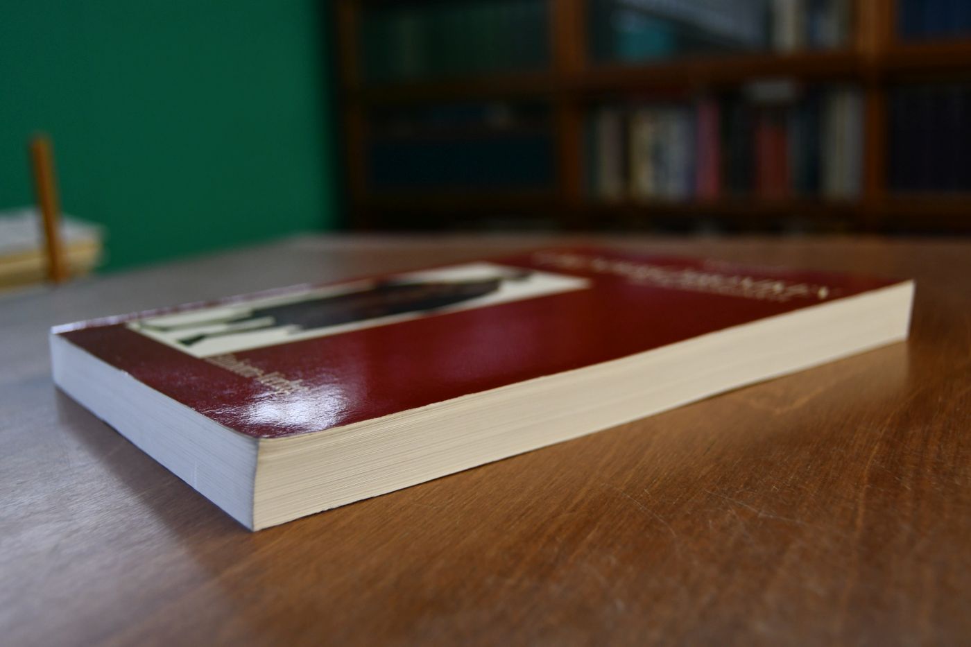 Gmünder Chroniken im 16. Jahrhundert