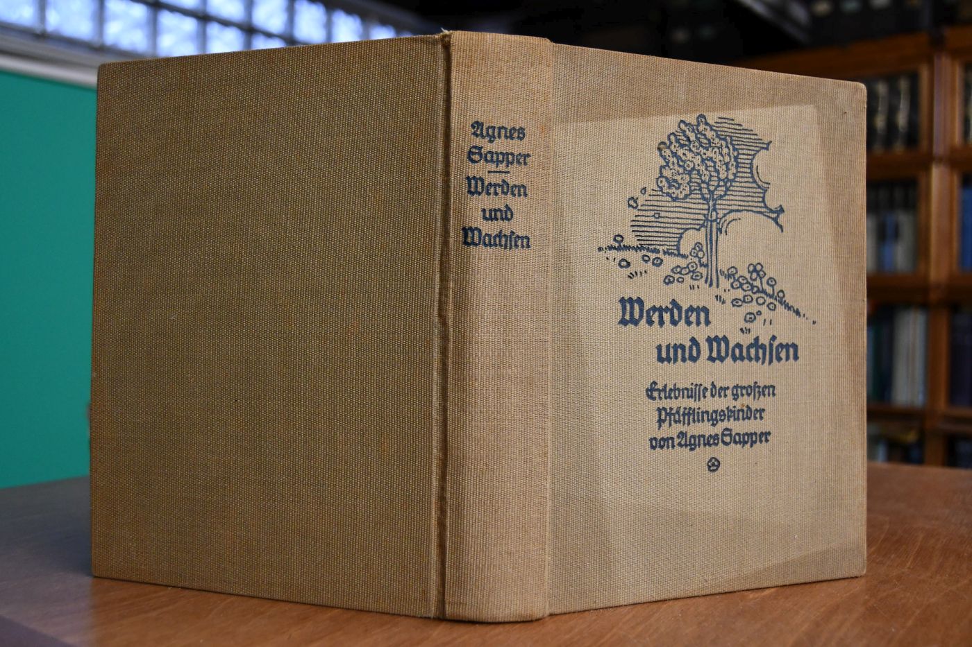 Werden und Wachsen. Erlebnisse der großen Pfäfflingskinder.