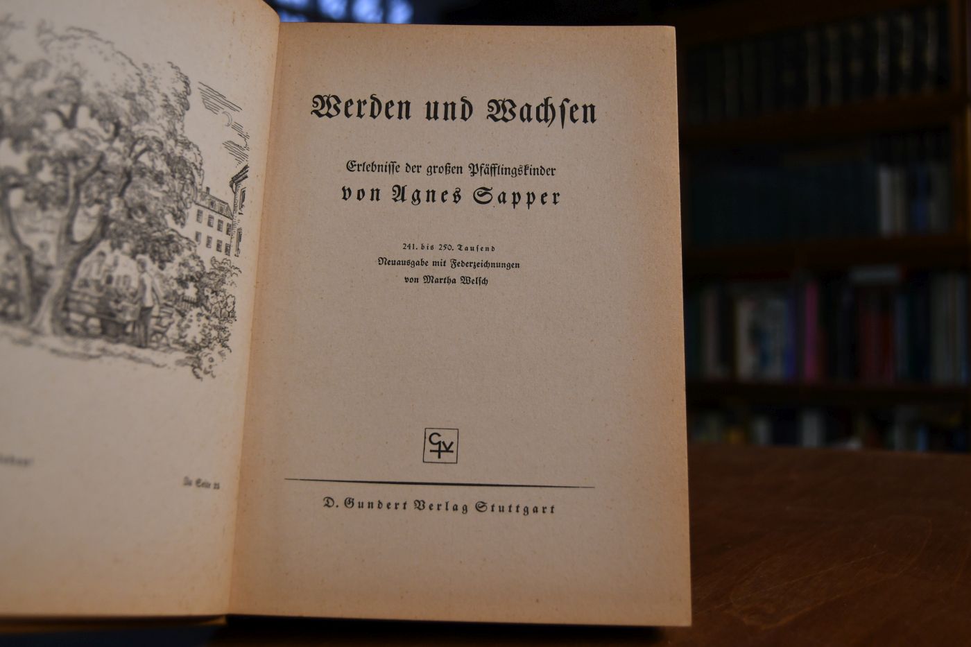 Werden und Wachsen. Erlebnisse der großen Pfäfflingskinder.
