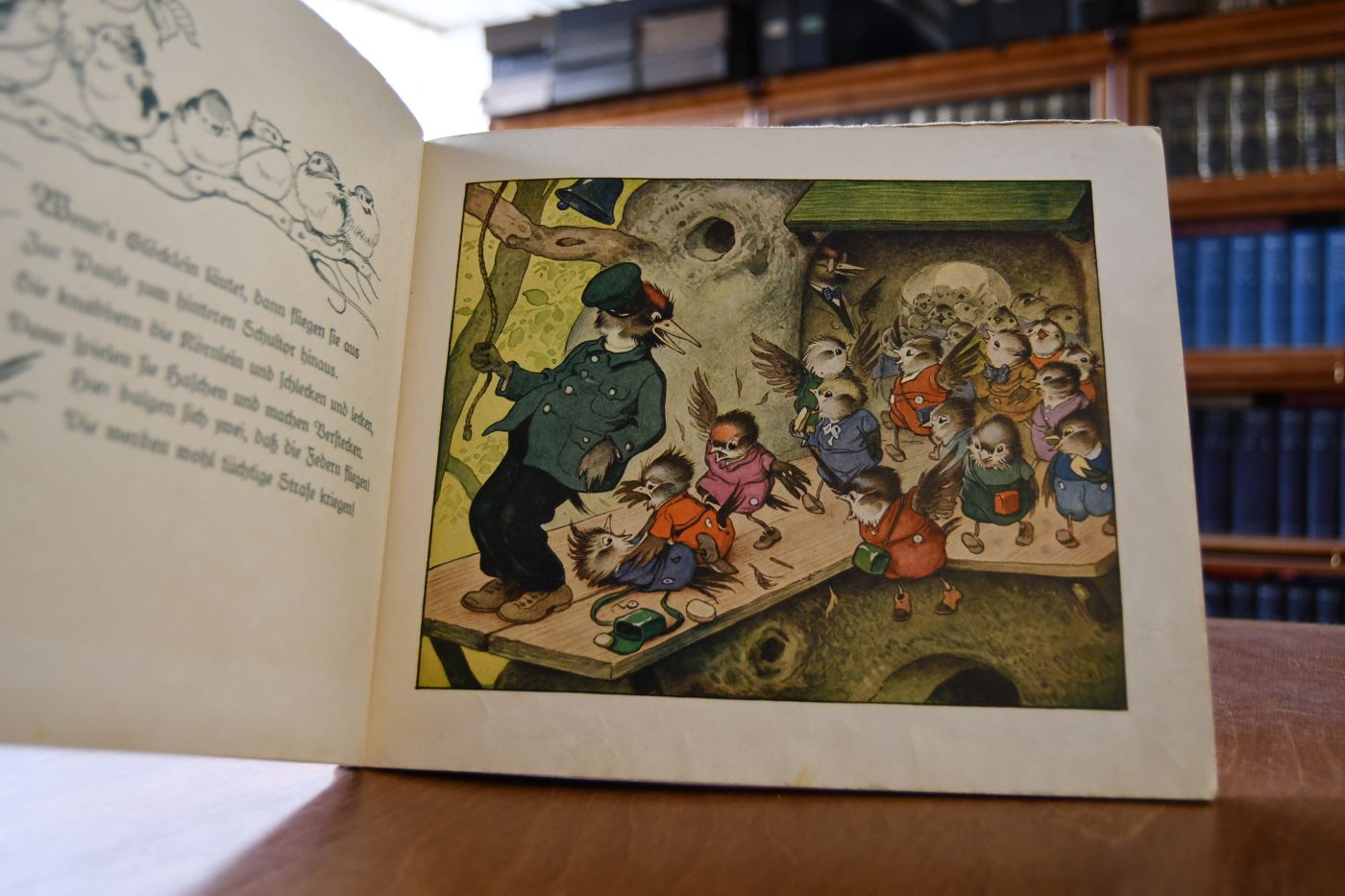Die Waldschule. Ein lustiges Bilderbuch.