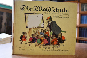 Die Waldschule. Ein lustiges Bilderbuch.