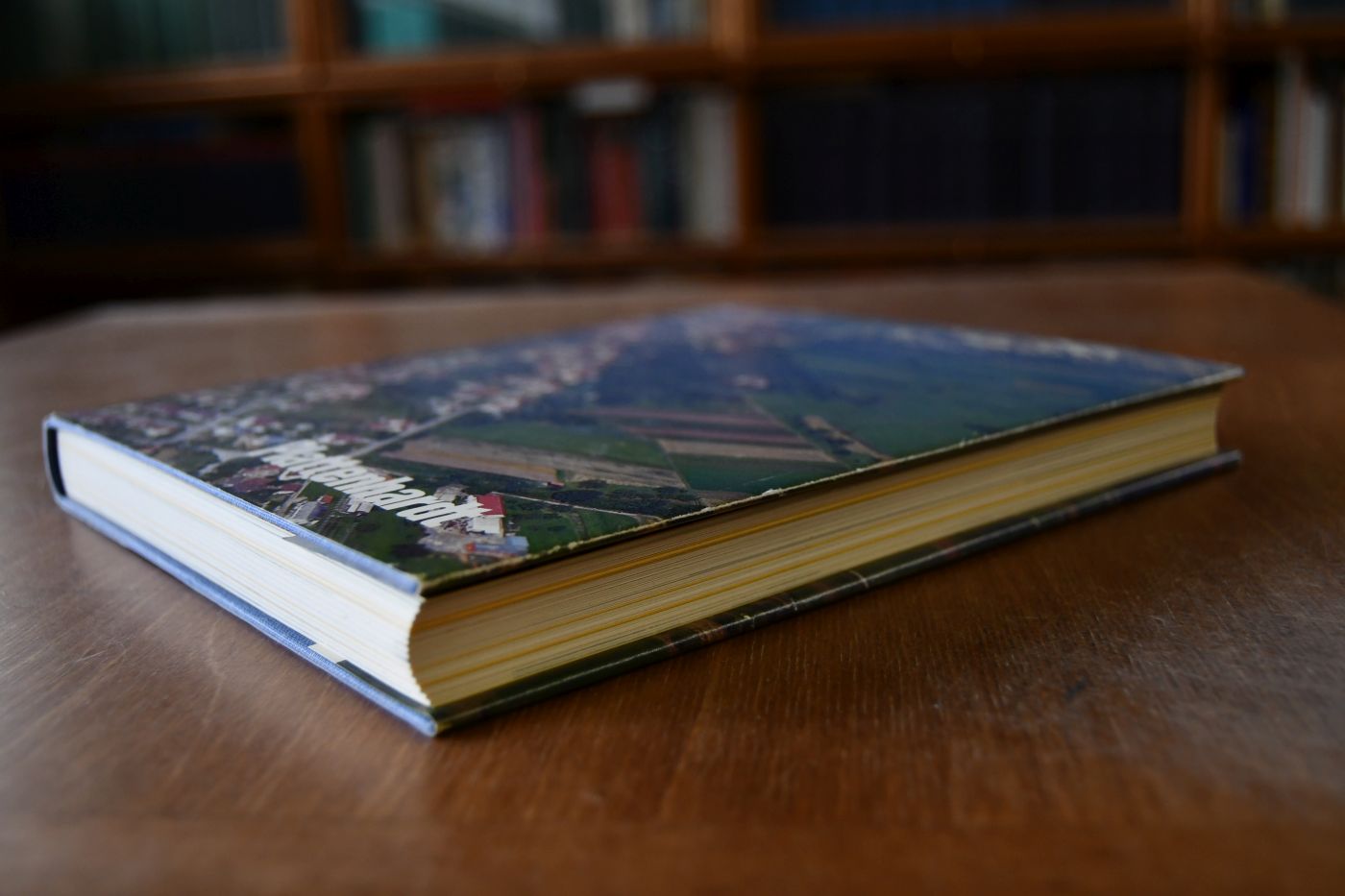 Das Ortsbuch von Plattenhardt.