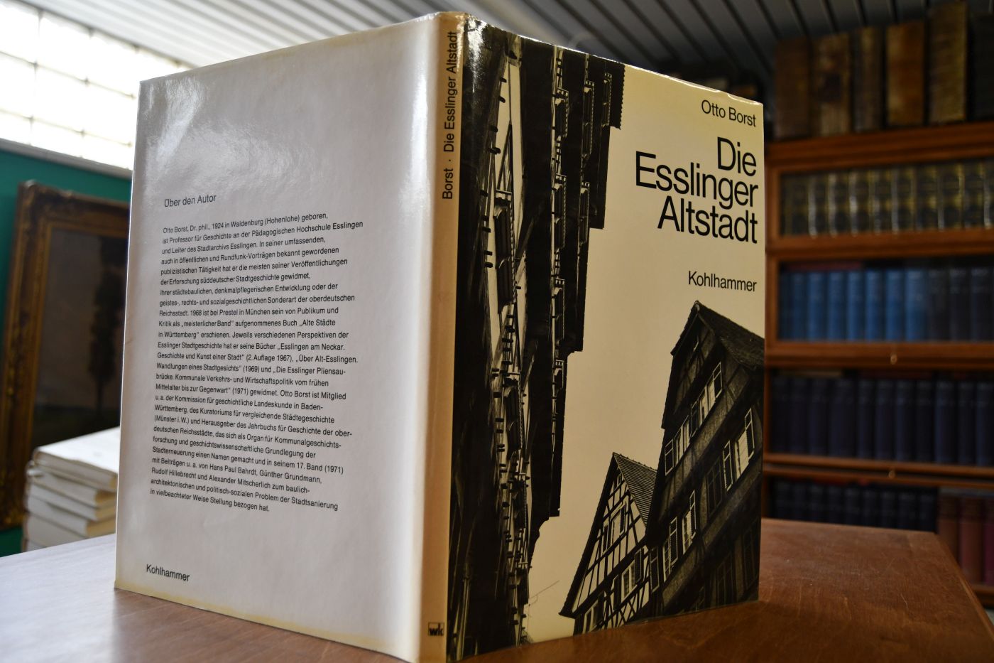Die Esslinger Altstadt. Materialien zu ihrer Erneuerung.