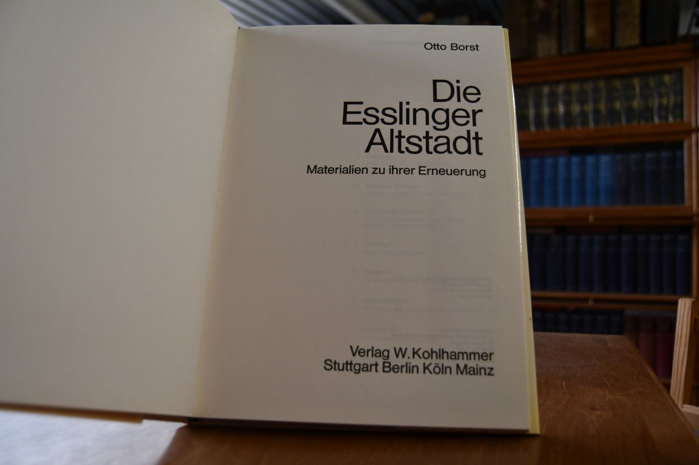 Die Esslinger Altstadt. Materialien zu ihrer Erneuerung.