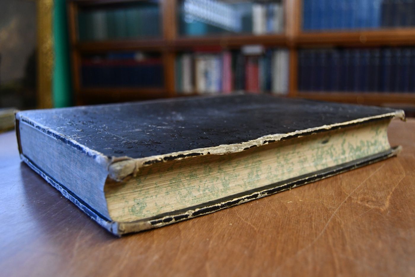 Allgemeine Moden-Zeitung Nr. 1 - 52, 1853 und Beiblatt zur Allgemeinen Moden-Zeitung Nr. 1 - 52, 1853.