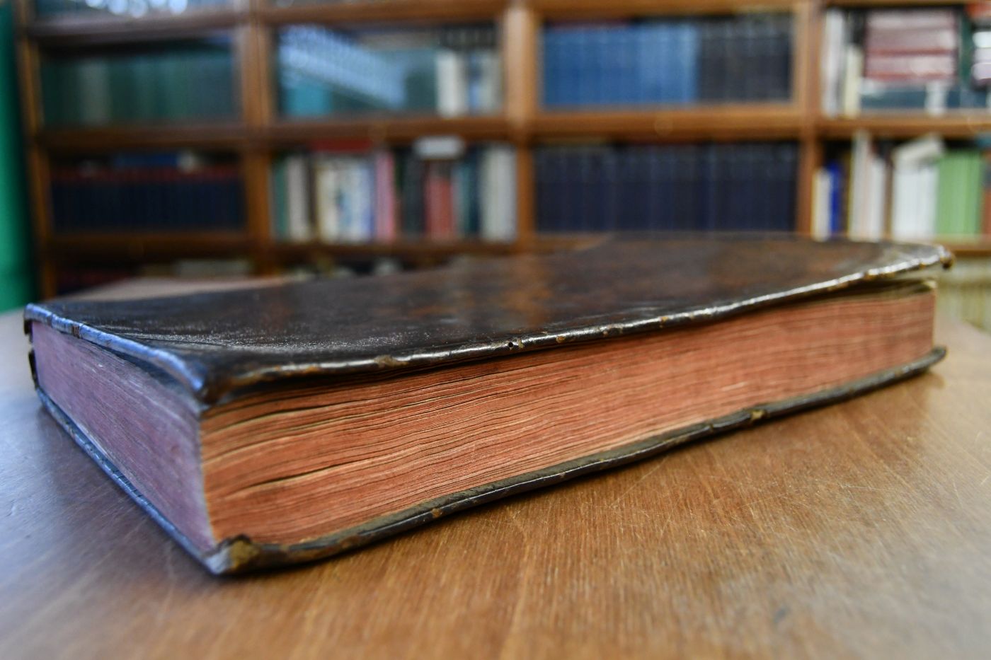 Josephs des Zweyten Römischen Kaisers Gesetze und Verfassungen im Justizfache. Für Böhmen, Mähren, Schlesien, Oesterreich ob und unter der Enns, Steyermark, Kärnten, Krain, Görz, Gradiska, Triest, Tyrol, und die Vorlande in dem achten Jahre seiner Regierung und beigebunden in dem letzten Jahre seiner Regierung.