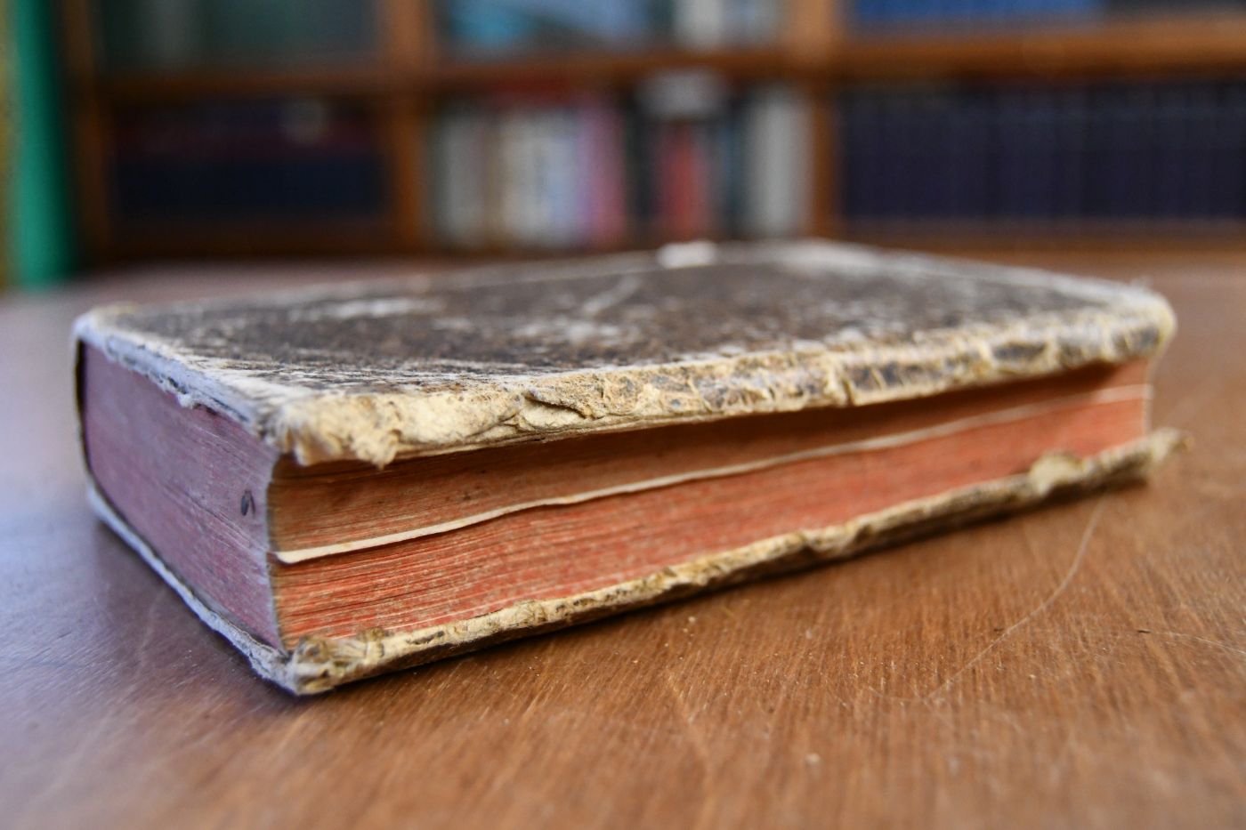 Send-Schreiben An den Verfasser von einer teutschen Schrifft, Dero Titul ist Beantwortung der zwölf Briefe des Herrn P. Seedorfs, Sammt einer Widerlegung der Vorrede, Die er der zweyten frantzösischen Ausgabe seiner Briefe Wider den Hrn. Cantzler Pfaffen in Tübingen vorgesetzt. Beigegeben Zweytes Schreiben. Von der Vorred des Herrn Verfassers, die er eine Widerlegung nennet, von der Vorred, welche R.P. Seedorff der zweyten Frantzösischen Ausgab seiner Brieffen hat vorgesetzt. Send-Schreiben Eines Doctoris Theologiae Von der Hohen-Schul zu Ingolstadt An den Verfasser von einer teutschen Schrifft, dero Titul ist Beantwortung der zwölf Briefe des Herrn P. Seedorffs, Sammt einer Widerlegung der Vorrede, &c. Viertes Schreiben Von dem ersten Brieff aus der Beantwortung auf die zwölff Brieff des Herrn P. Seedorffs. Fünftes Schreiben Von dem ersten Brieff aus der Beantwortung auf die zwölff Brieff des H. Seedorffs.