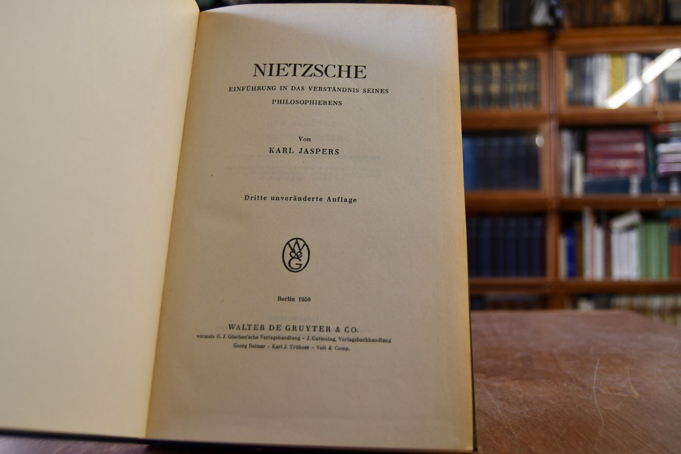 Nietzsche. Einführung in das Verständnis seines Philosophierens.