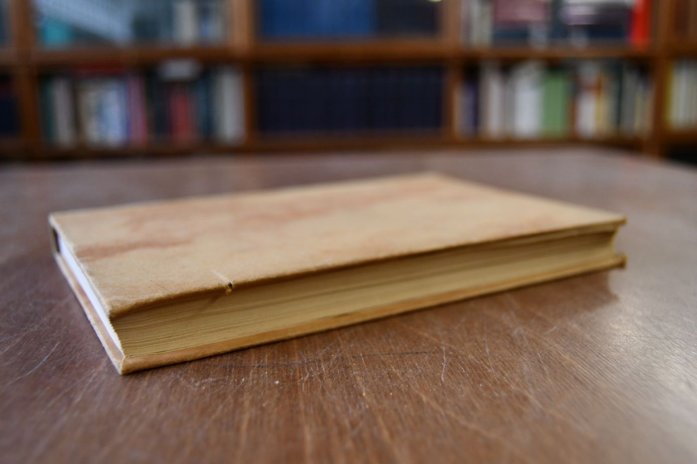 Das Bruno-Wille-Buch.