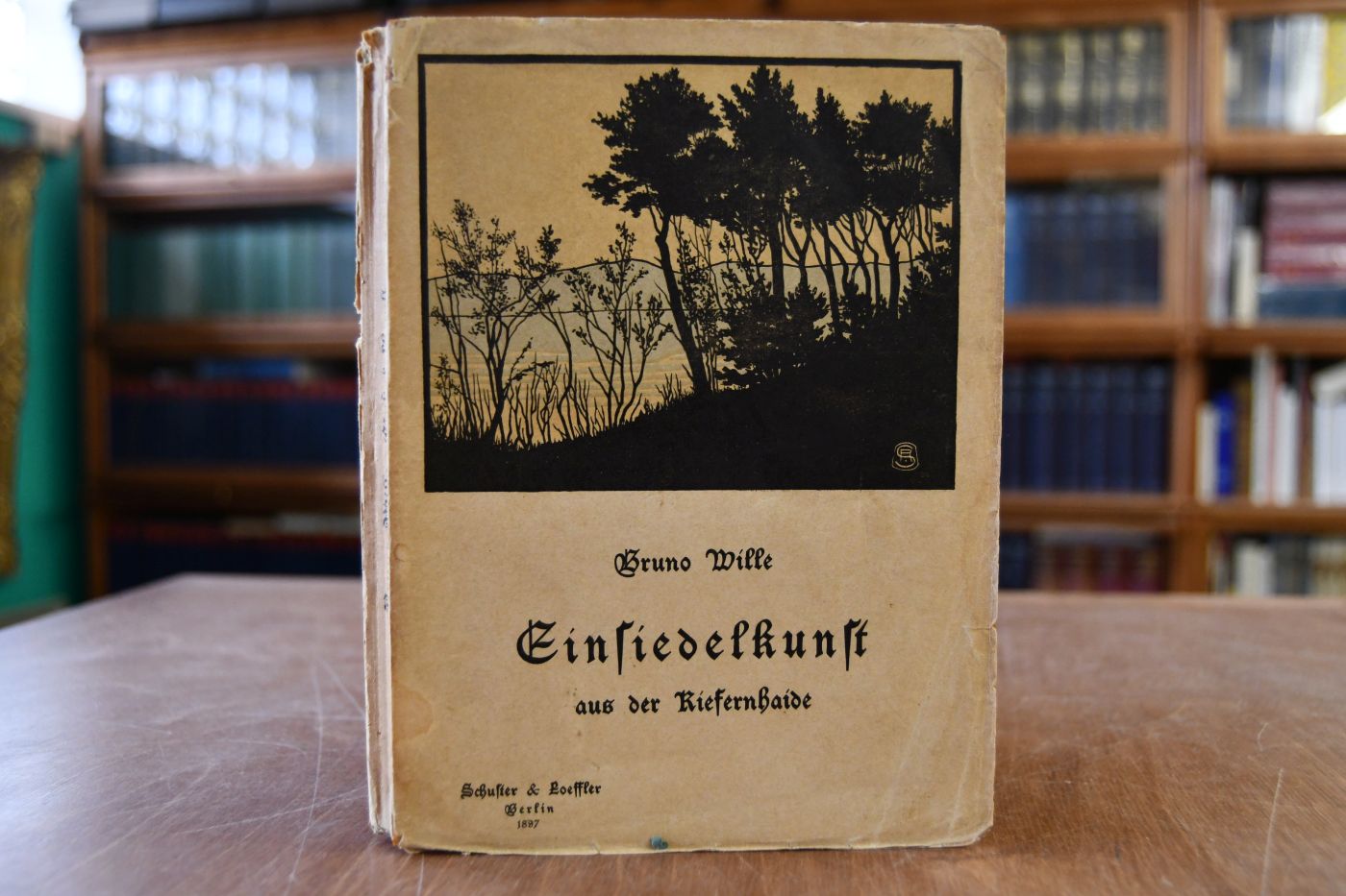 Einsiedelkunst aus der Kiefernhaide