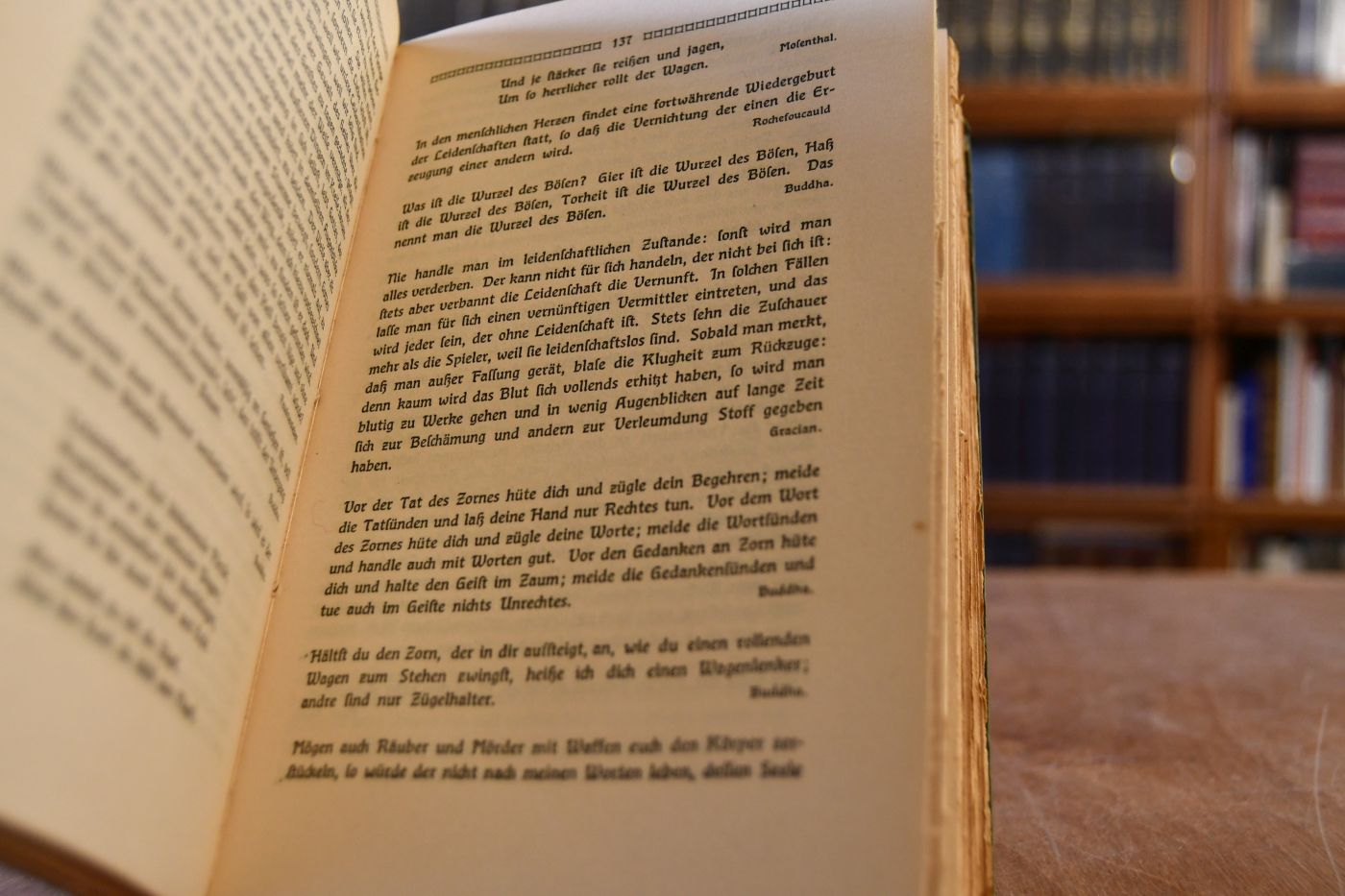 Lebensweisheit. Eine Deutung unseres Daseins in Aussprüchen führender Geister.