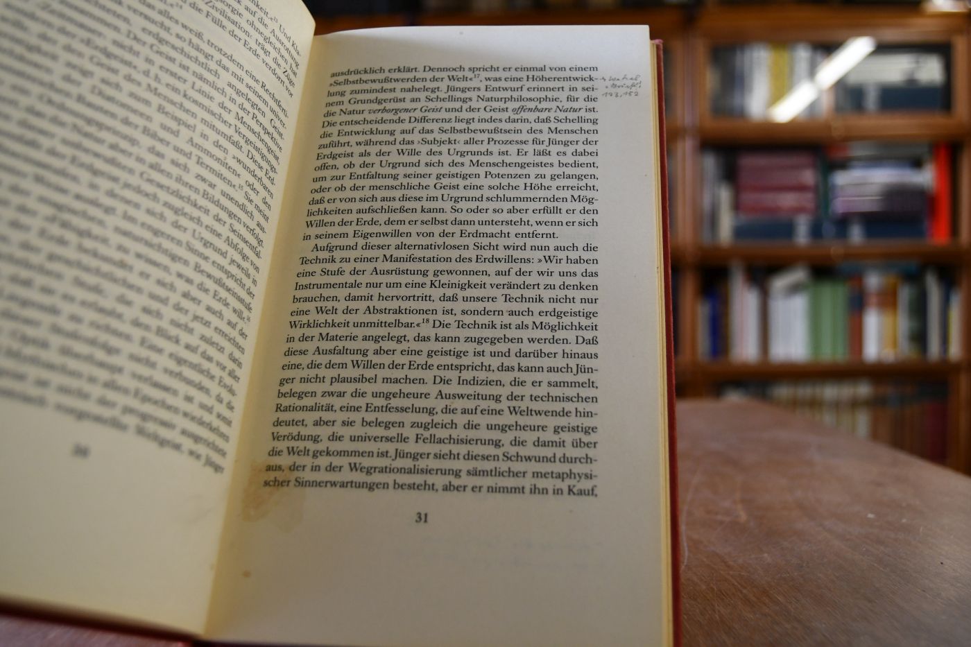 Das Echo der Bilder. Ernst Jünger zu Ehren.
