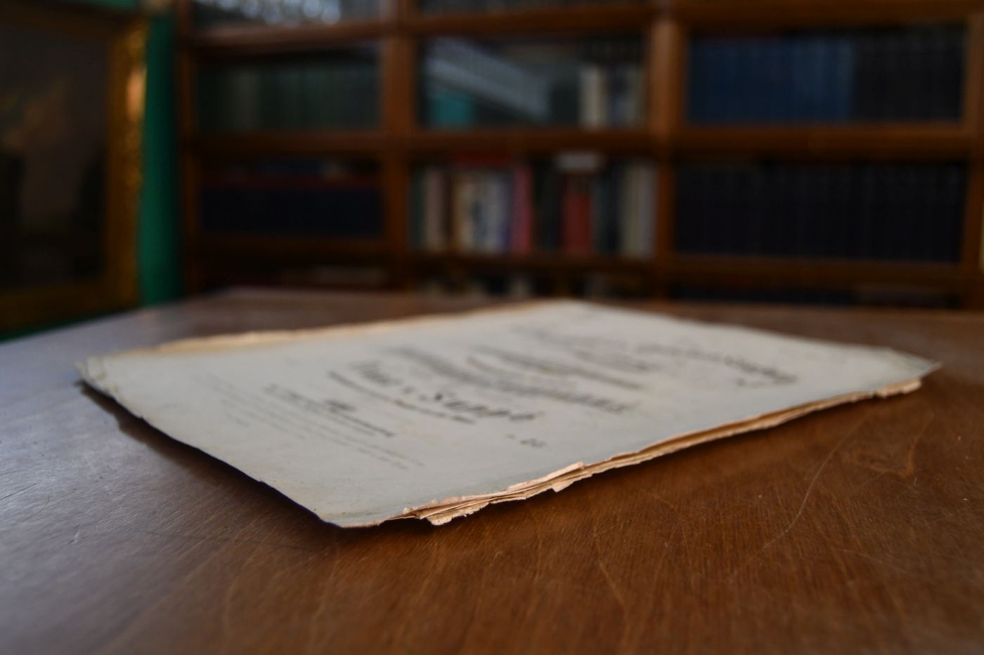 `s Dierndl als Concert-Sängerin. Gedicht in österreichischer Mundart von Franz Ullmayer in Musik gesetzt für eine Singstimme mit Begleitung des Pianoforte und dem wohlgebornen Fräulein Katharina Schiller freundlichst gewidmet von Franz v. Suppé Kapellmeister am k. k. priv. Theater an der Wien.