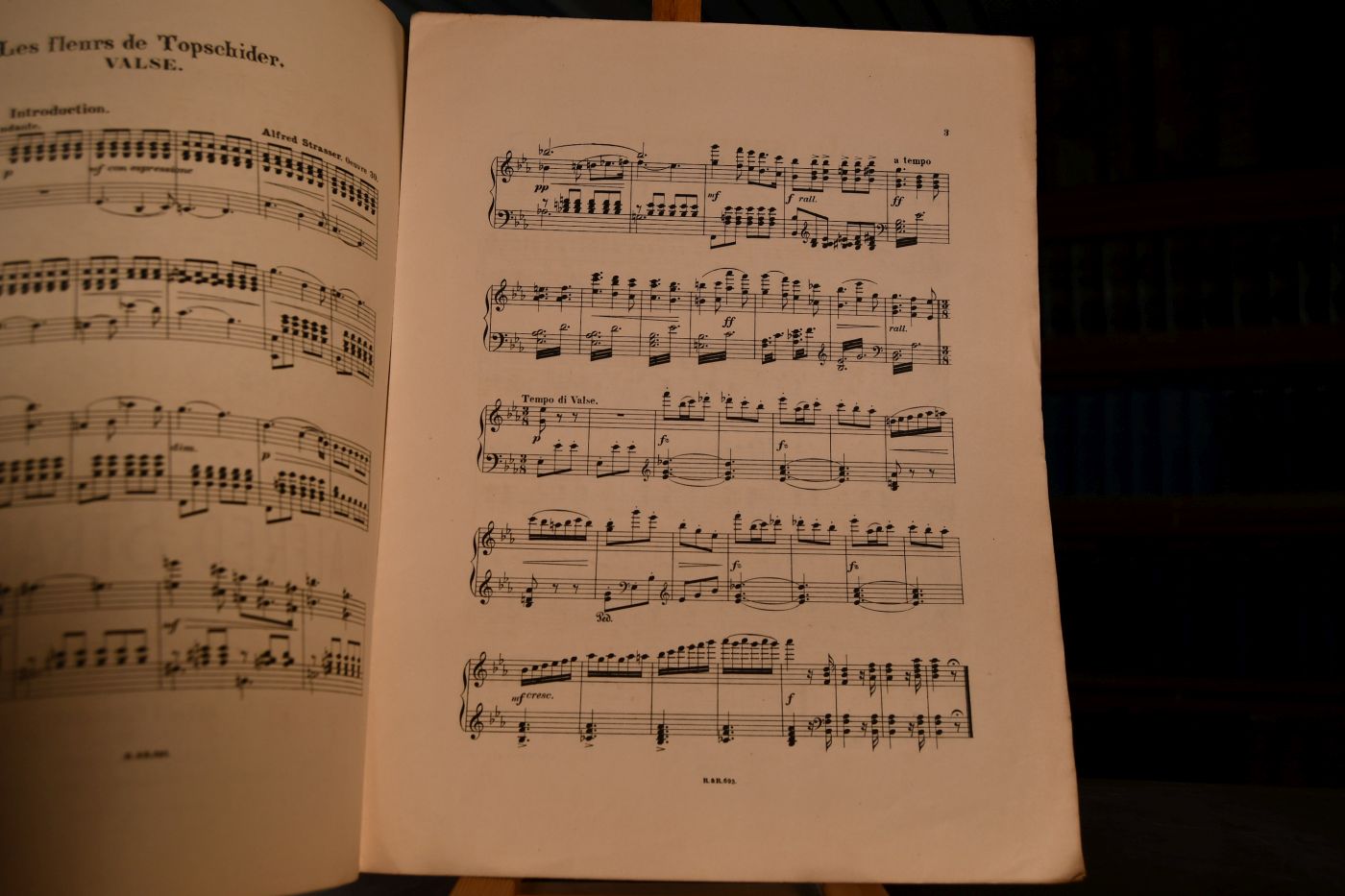 Les fleurs de Topschider. Valse pour le Piano. Hommage respectueux a sa Majeste Nathalie Reine de Serbie.