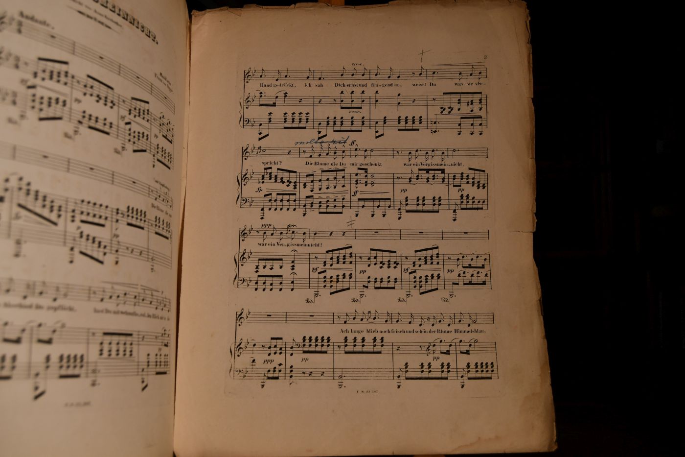Das Vergissmeinnicht. Iberisches Ständchen. Zwei Lieder für eine Singstimme mit Begleitung des Pianoforte.