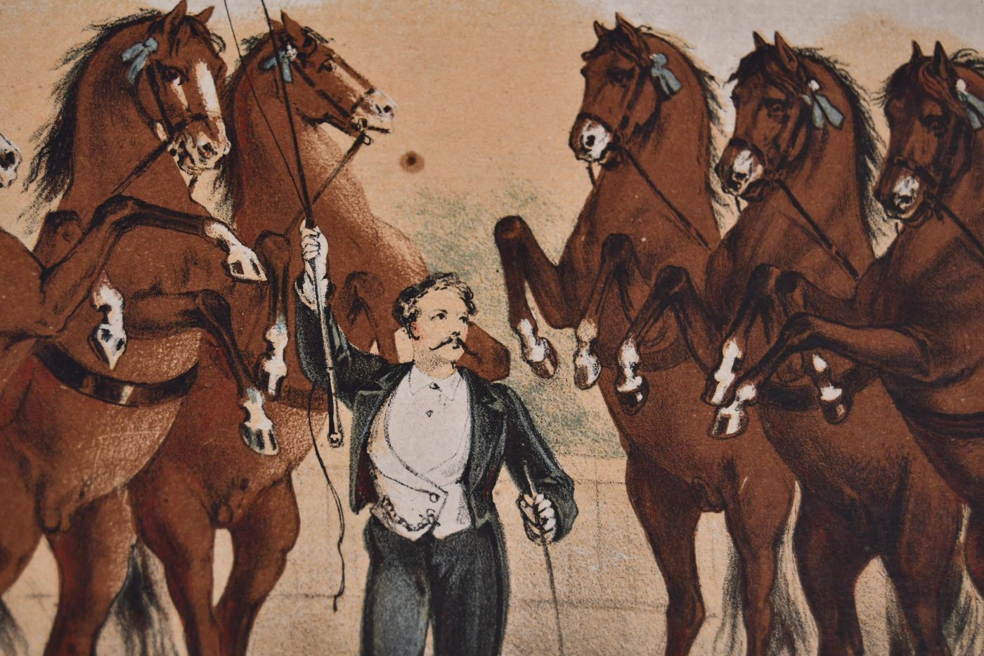 Polka Circus-Corty. Componirt und Herrn Regisseur D. Althoff achtungsvoll gewidmet von Jean Resch Kapellmeister. Op. 97.