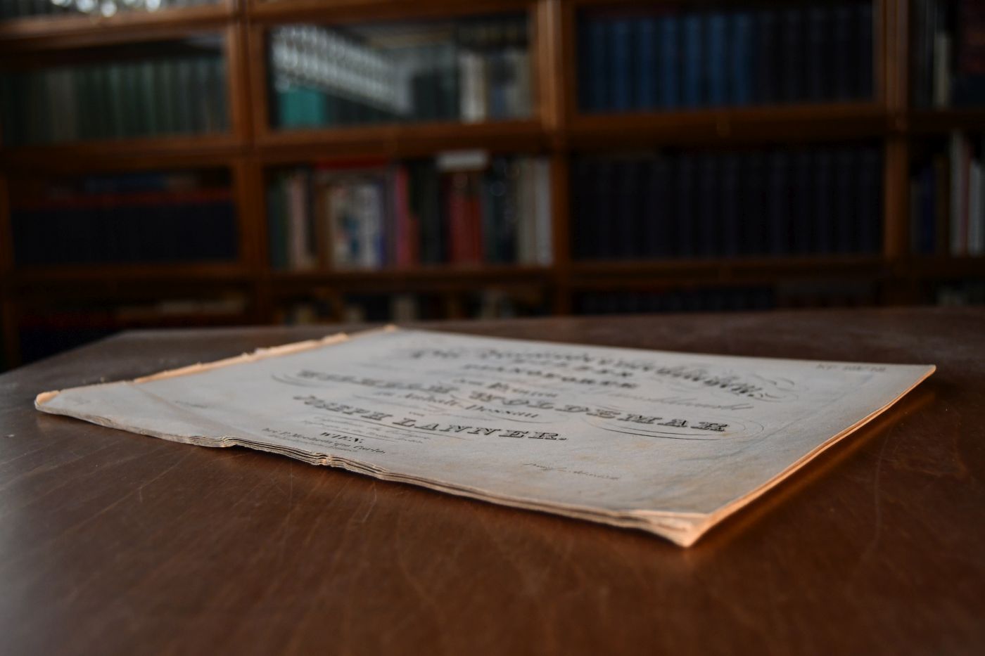 Die Unwiderstehlichen. Walzer für das Pianoforte. Seiner hochfürstlichen Durchlaucht dem Prinzen Wilhelm Woldemar zu Anhalt-Dessau ehrfurchtsvoll gewidmet. 81. Werk.