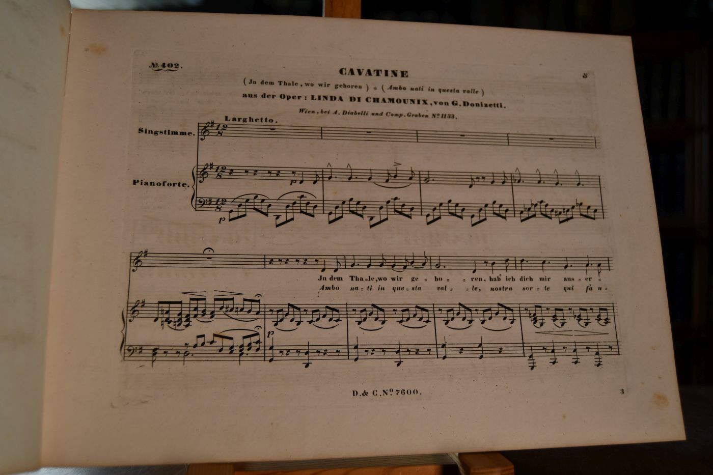 Cavatine. (In dem Thale, wo wir geboren; ambo nati in questa valle) aus der Oper Linda di Chamounix, von G. Donizetti.