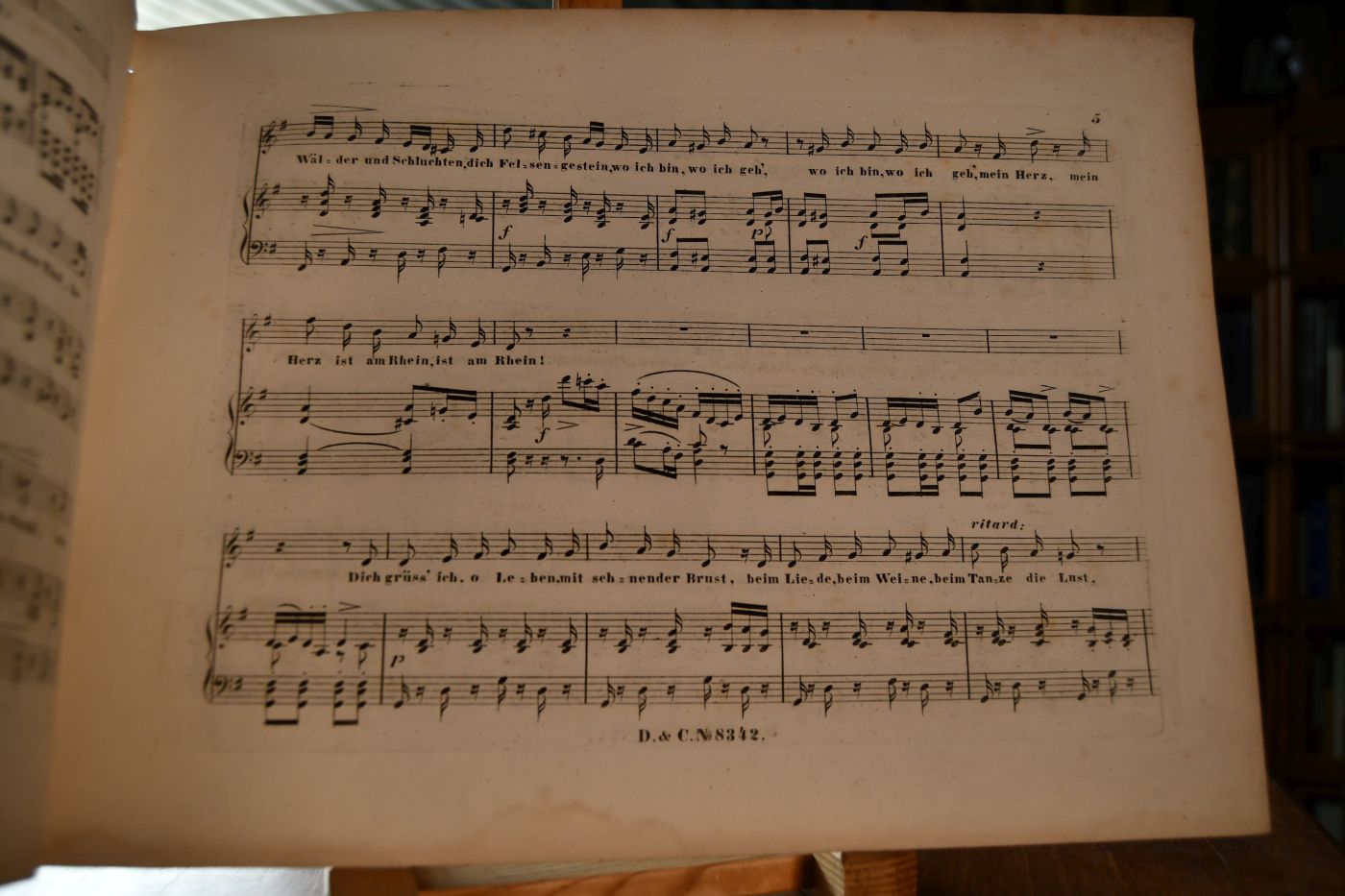 Rhein. Sehnsucht. Musik von W. Speier. Gesungen von J.B. Pischek.