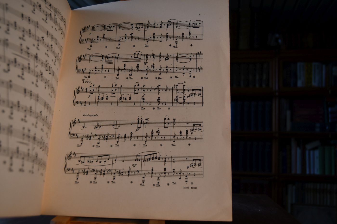 Syringen-Gavotte für Pianoforte. Op. 8.