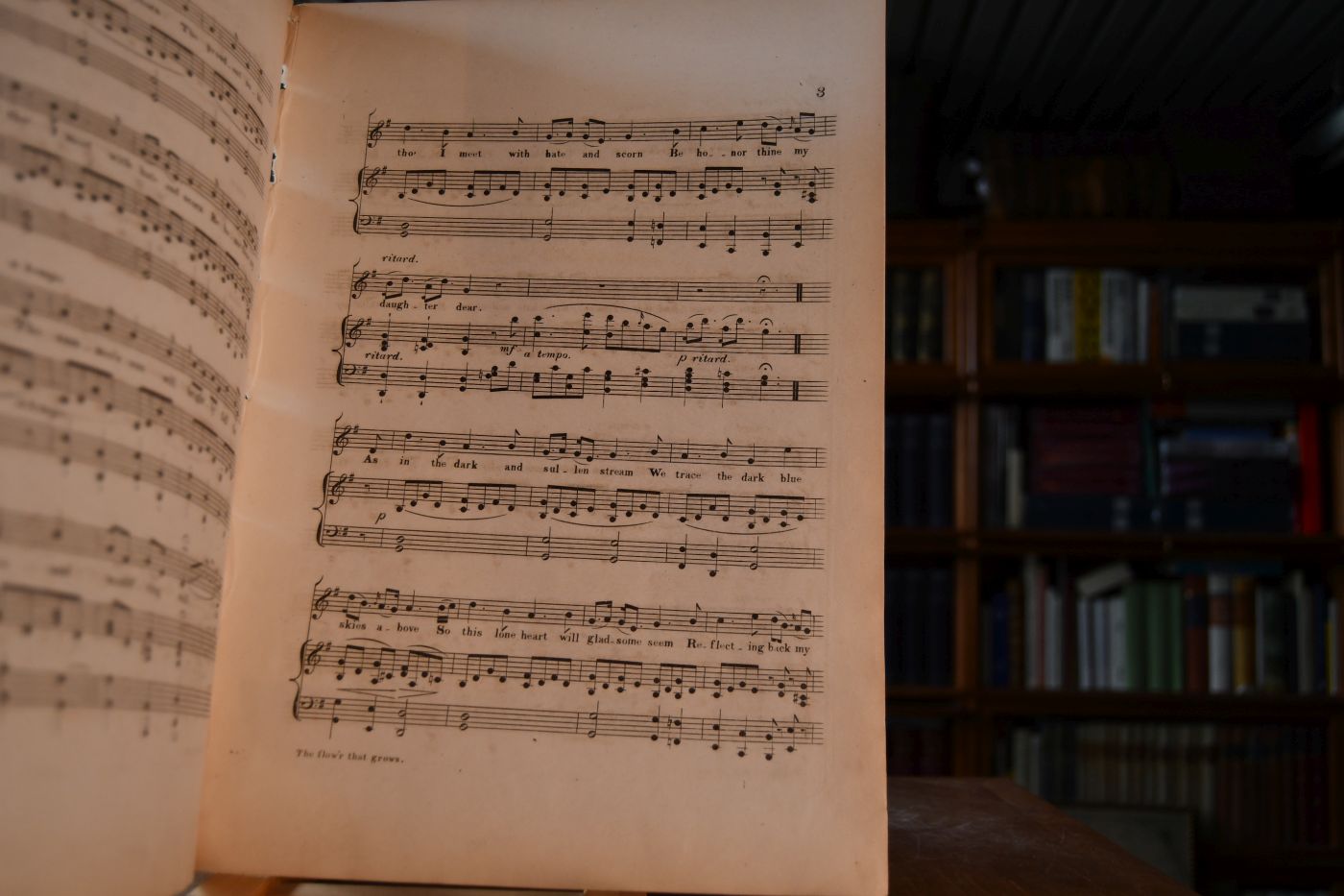 The Flower that grows upon the thorn. Ballad. Sung by Mr. Stretton in the Scottish Opera The Deer Stalkers at the Theatre Royal English Opera House. Written by Mark Lemon, the music composed by E.J. Loder.