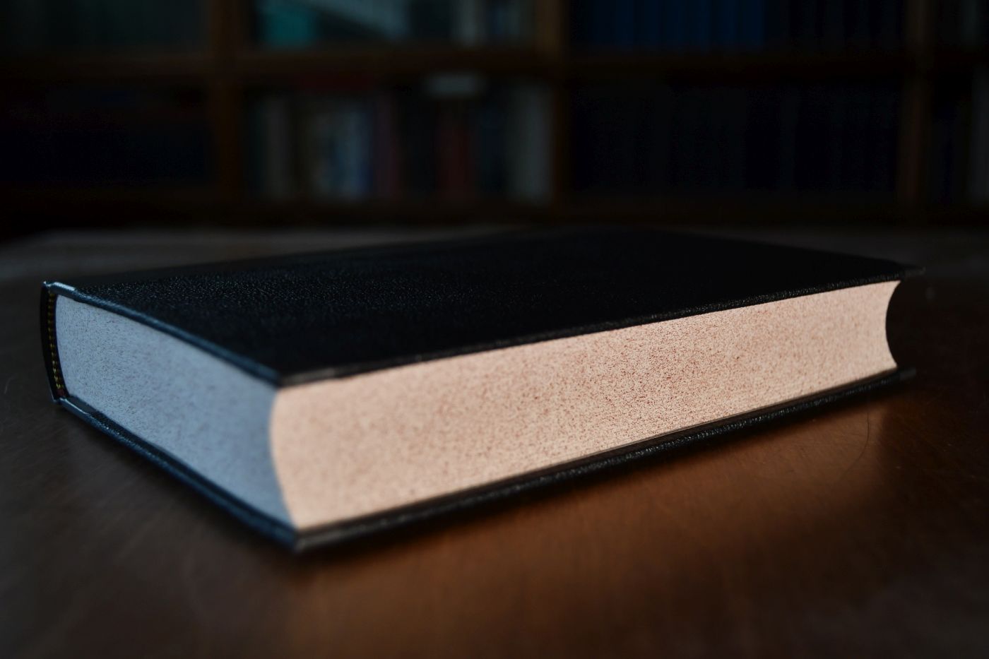 Ansichten der Volkswirthschaft aus dem geschichtlichen Standpunkte. Beigegeben Vademecum zu einem Klassiker der historischen Schule, Düsseldorf, Verlag Wirtschaft und Finanzen, 1994, 211 S., Pappband, ISBN 3878810830.