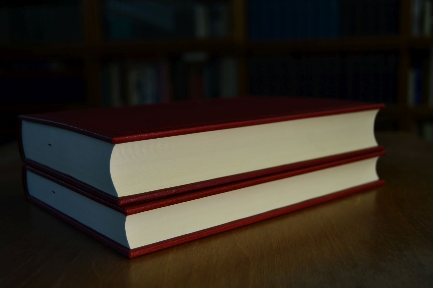 Grundriß der Allgemeinen Volkswirtschaftslehre. 1. + 2. Teil. Beigegeben Vademecum zu einem Klassiker der historischen Methode in der ökonomischen Wissenschaft, Düsseldorf, Verlag Wirtschaft und Finanzen, 1989, 123 S., Pappband, ISBN 3878810385.