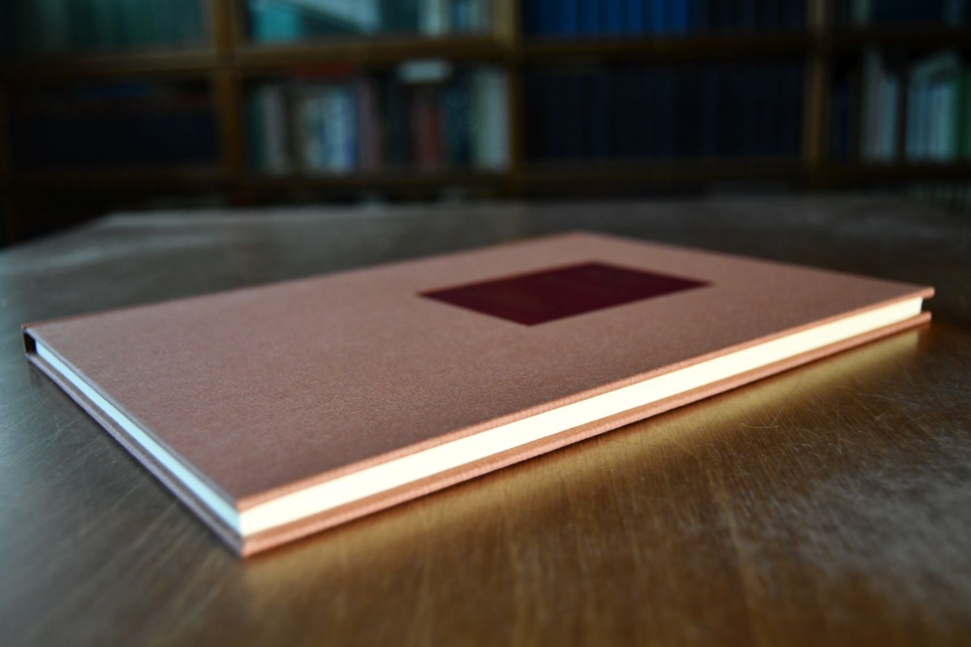 Le Parfait Negociant ou Instruction generale pour ce qui regarde le Commerce de toute sorte de Marchandises, tant de France, que des Pays Estrangers. Beigegeben Vademecum zu einem Klassiker der Handlungswissenschaft, Düsseldorf, Verlag Wirtschaft und Finanzen, 1993, 112 S., Pappband, ISBN 3878810741.
