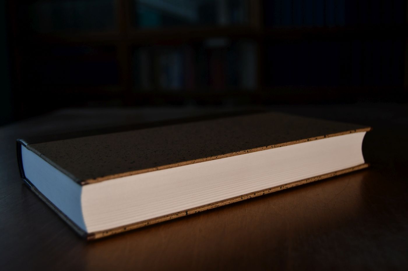 Du Systeme industriel. Beigegeben Vademecum zu einem Klassiker des utopischen Sozialismus, Düsseldorf, Verlag Wirtschaft und Finanzen, 1998, 123 S., Pappband, ISBN 3878811314.