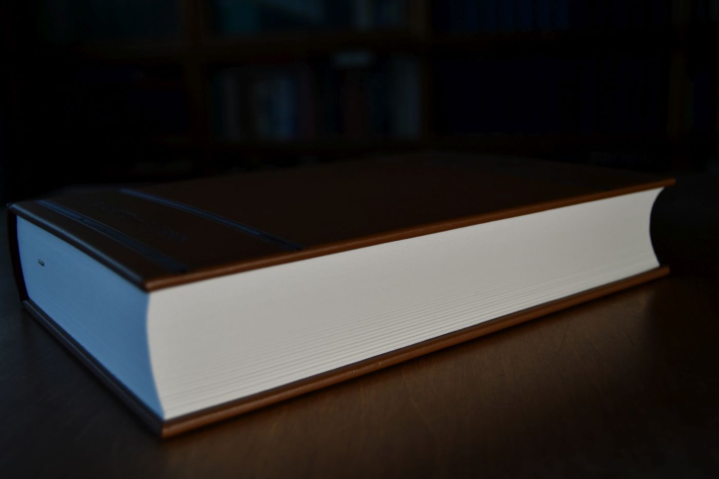 Untersuchungen über die Theorie des Preises. Beigegeben Vademecum zu einem Klassiker der Preistheorie, Düsseldorf, Verlag Wirtschaft und Finanzen, 1993, 120 S., Pappband, ISBN 387881075X.