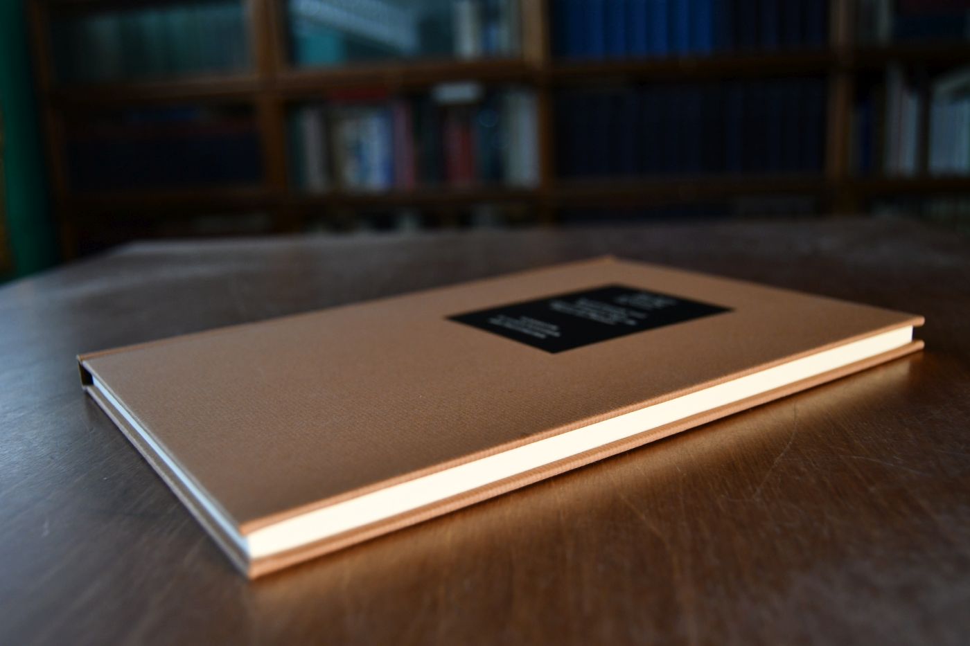 Untersuchungen über die Theorie des Preises. Beigegeben Vademecum zu einem Klassiker der Preistheorie, Düsseldorf, Verlag Wirtschaft und Finanzen, 1993, 120 S., Pappband, ISBN 387881075X.