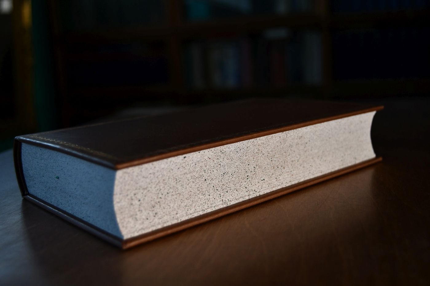 The Theory of Moral Sentiments. Beigegeben Vademecum zu einem frühen Klassiker der ökonomischen Wissenschaft, Düsseldorf, Verlag Wirtschaft und Finanzen, 1986, 106 S., Pappband, ISBN 387881013X.
