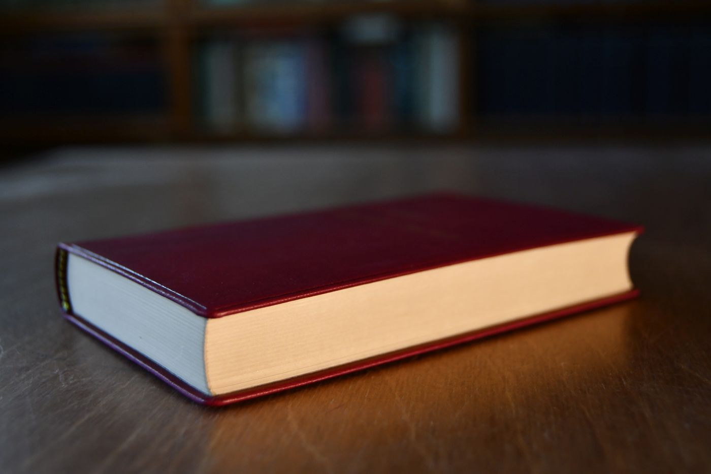 Manuale di Economia Politica. Beigegeben Vademecum zu einem Klassiker der Ökonomie und Soziologie, Düsseldorf, Verlag Wirtschaft und Finanzen, 1992, 245 S., Pappband, ISBN 3878810709.
