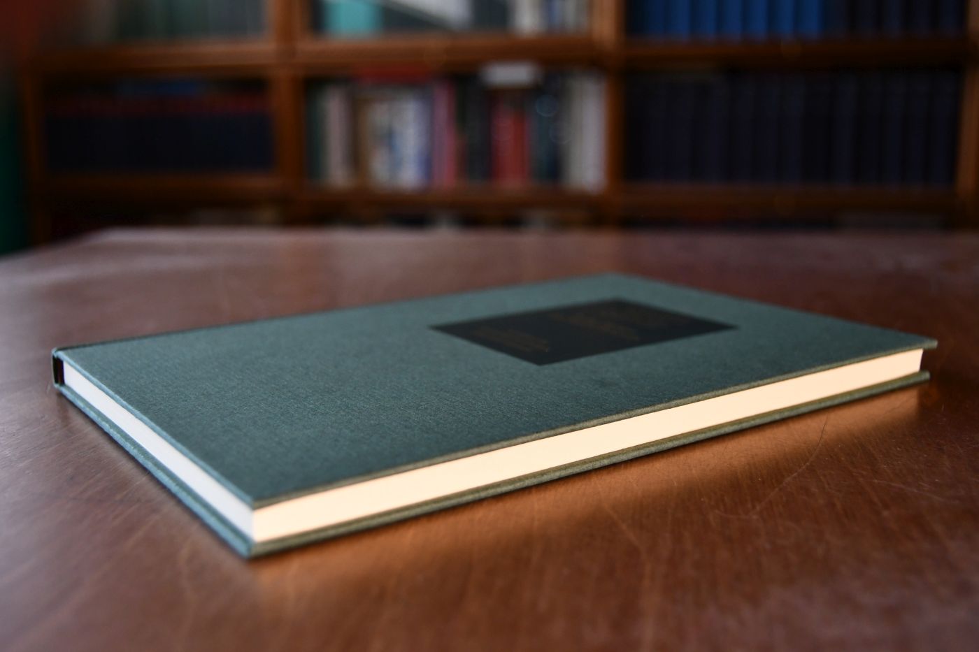 The Rate of Inetrest. Beigegeben Vademecum zu einem Klassiker der Zinstheorie, Düsseldorf, Verlag Wirtschaft und Finanzen, 1994, 139 S., Pappband, ISBN 3878810865.