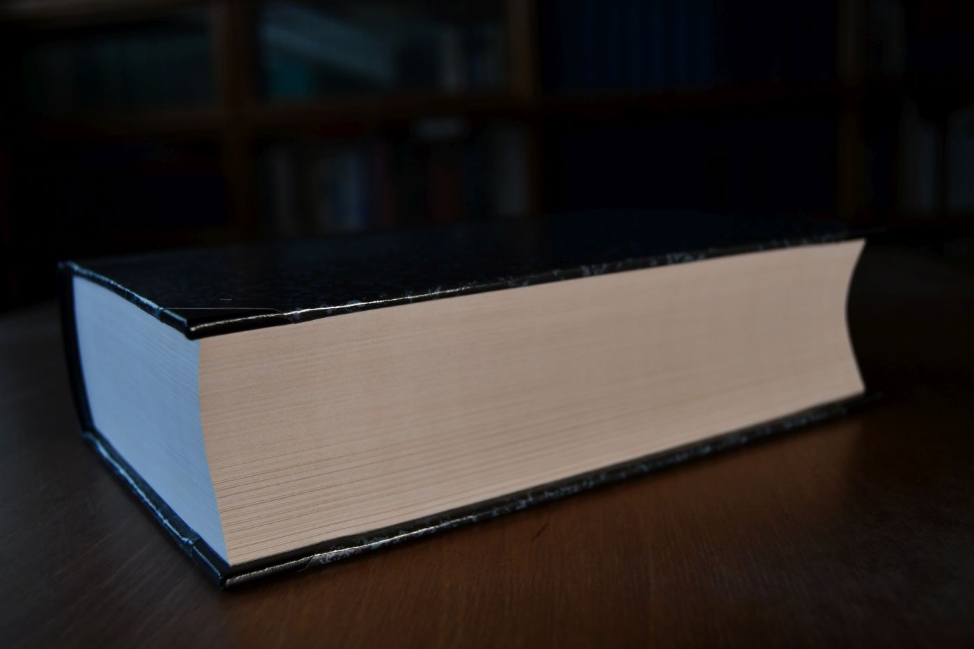 Geschichte der National-Oekonomik in Deutschland. Beigegeben Vademecum zu einem Klassiker der deutschen Dogmengeschichte, Düsseldorf, Verlag Wirtschaft und Finanzen, 1992, 179 S., Pappband, ISBN 3878810687.