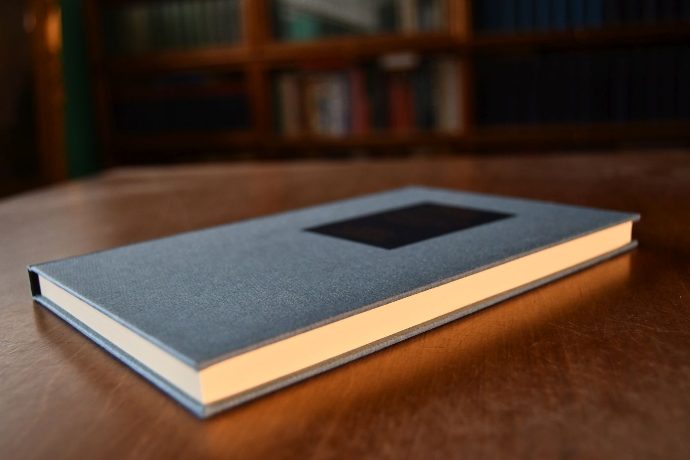 Geschichte der National-Oekonomik in Deutschland. Beigegeben Vademecum zu einem Klassiker der deutschen Dogmengeschichte, Düsseldorf, Verlag Wirtschaft und Finanzen, 1992, 179 S., Pappband, ISBN 3878810687.