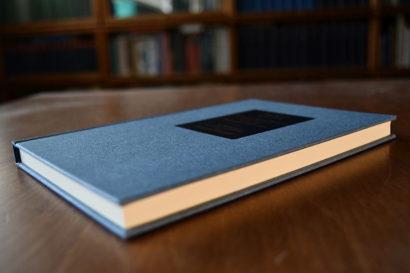 Geschichte und Kritik der Kapitalzins-Theorien. Beigegeben Vademecum zu einem Klassiker der Theoriegeschichte, Düsseldorf, Verlag Wirtschaft und Finanzen, 1994, 182 S., Pappband, ISBN 3878810857.