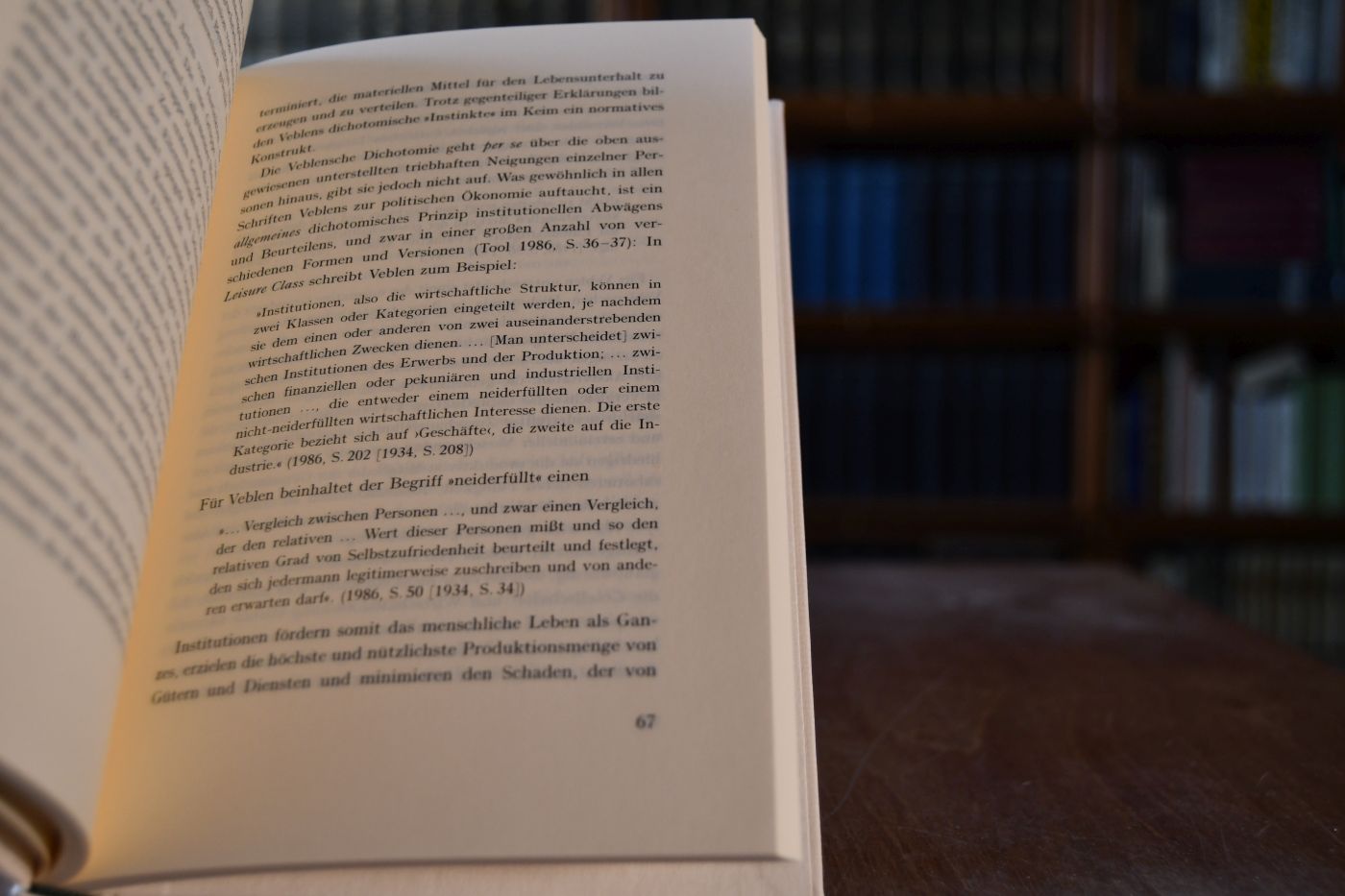 The Theory of the Leisure Class. Beigegeben Vademecum zu einem Klassiker des institutionellen Denkens, Düsseldorf, Verlag Wirtschaft und Finanzen, 2000, 168 S., Pappband, ISBN 3878811489.