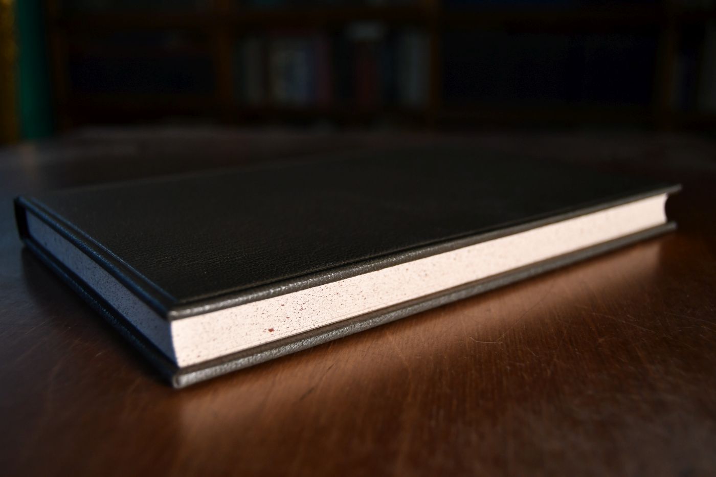 Grundriß der Volkswirthschaftslehre. Ein Leitfaden für Vorlesungen an Hochschulen und für das Privatstudium. Beigegeben Vademecum zu einem frühen Klassiker der Preistheorie, Düsseldorf, Verlag Wirtschaft und Finanzen, 1995, 120 S., Pappband, ISBN 3878810962.