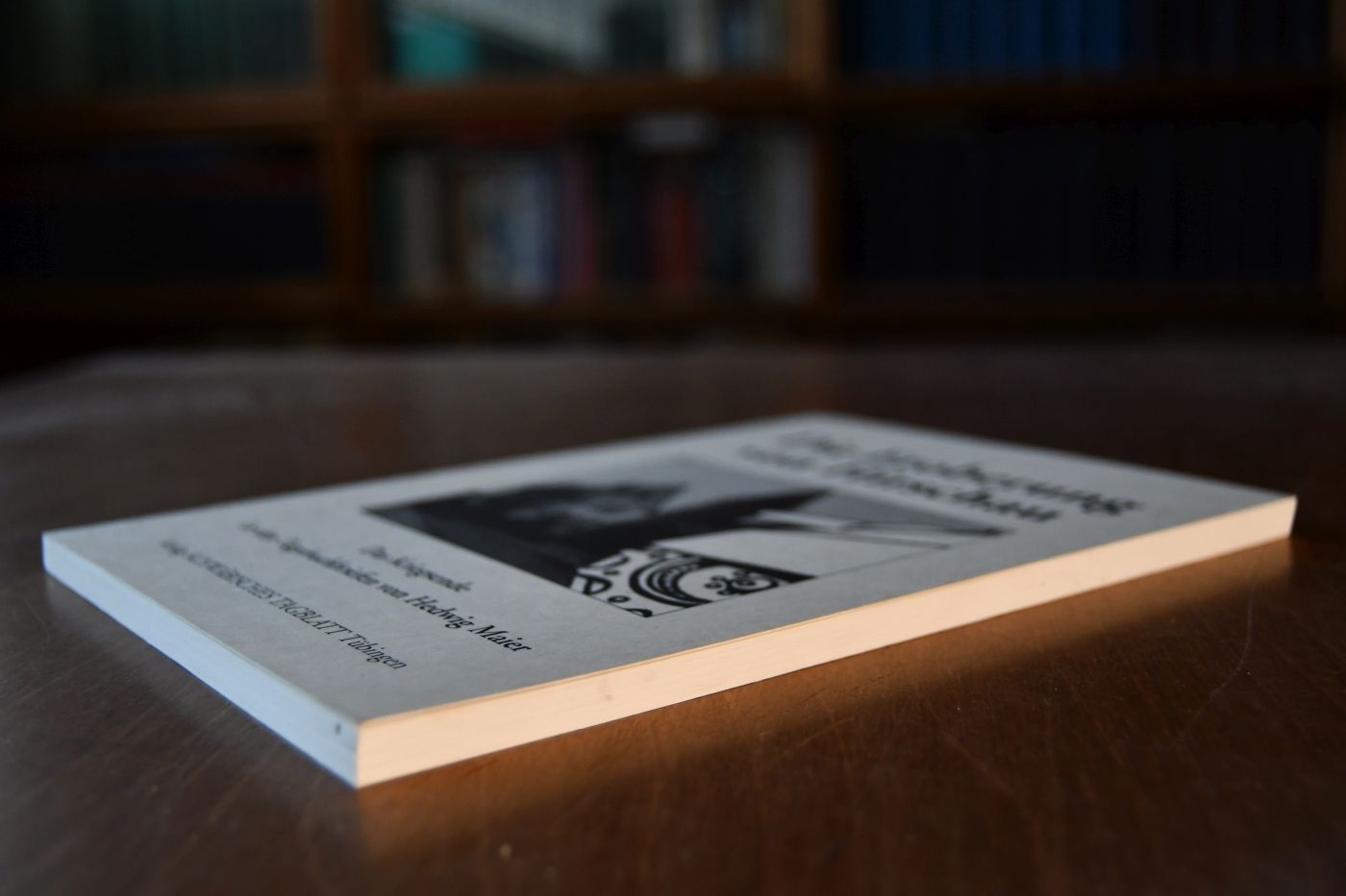 Die Eroberung von Hirschau. Das Kriegsende in den Tagebuchbriefen von Hedwig Maier.